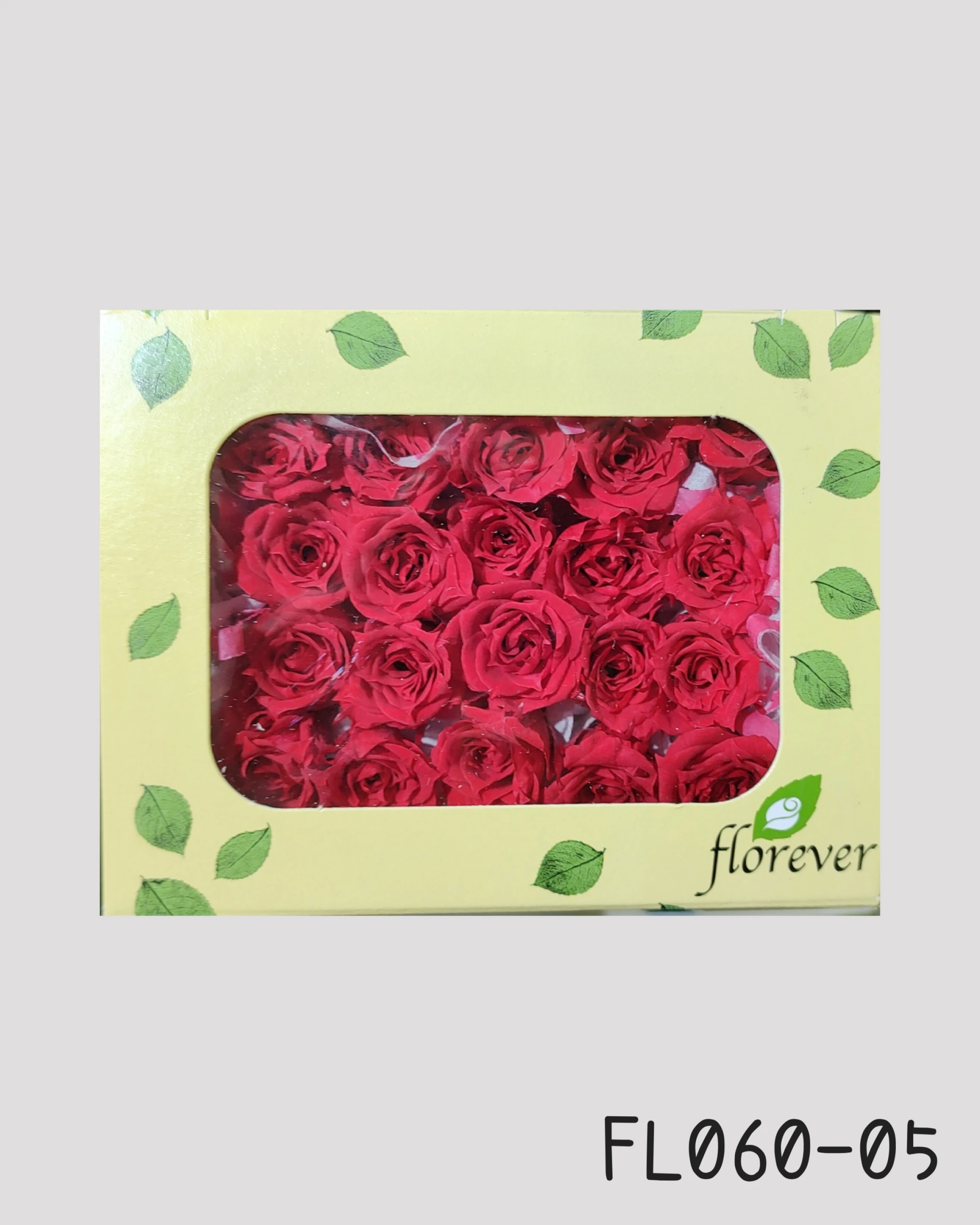 日本Florever 微型玫瑰