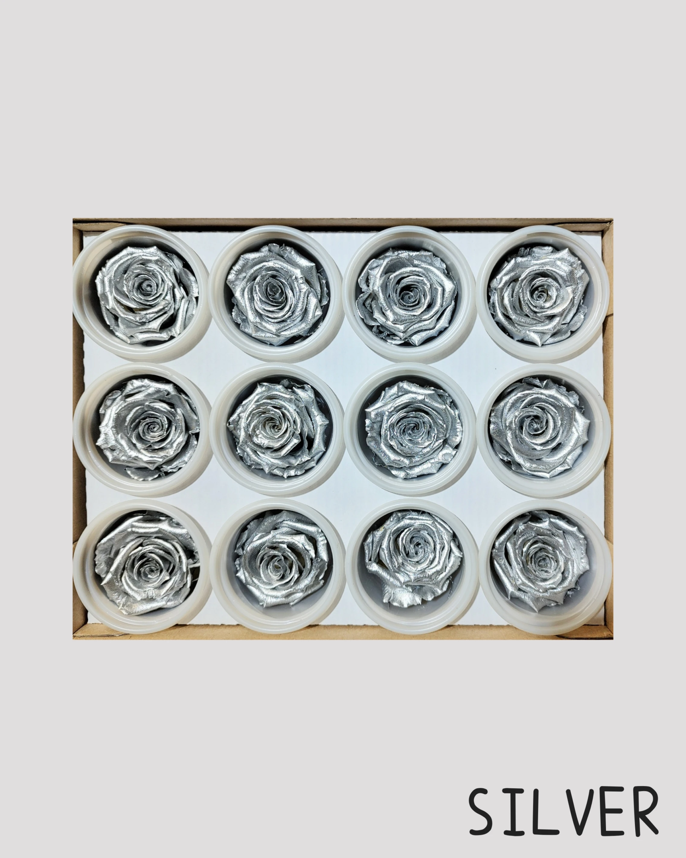 厄瓜多 RoseAmor S 中玫瑰 銀