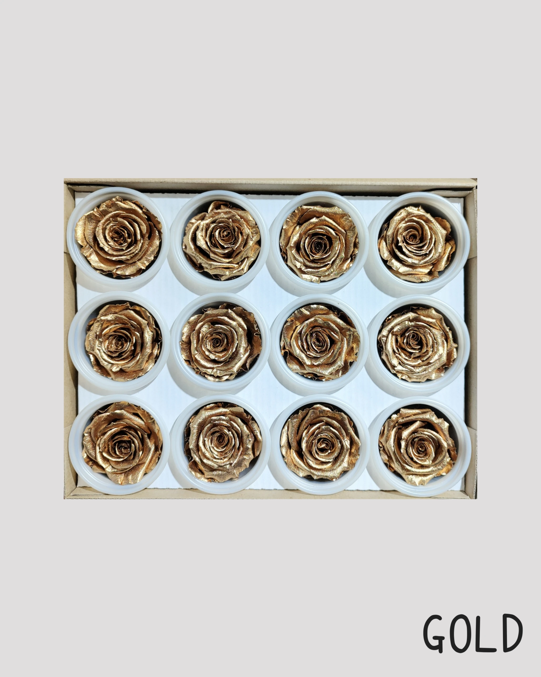 厄瓜多 RoseAmor S 中玫瑰 金