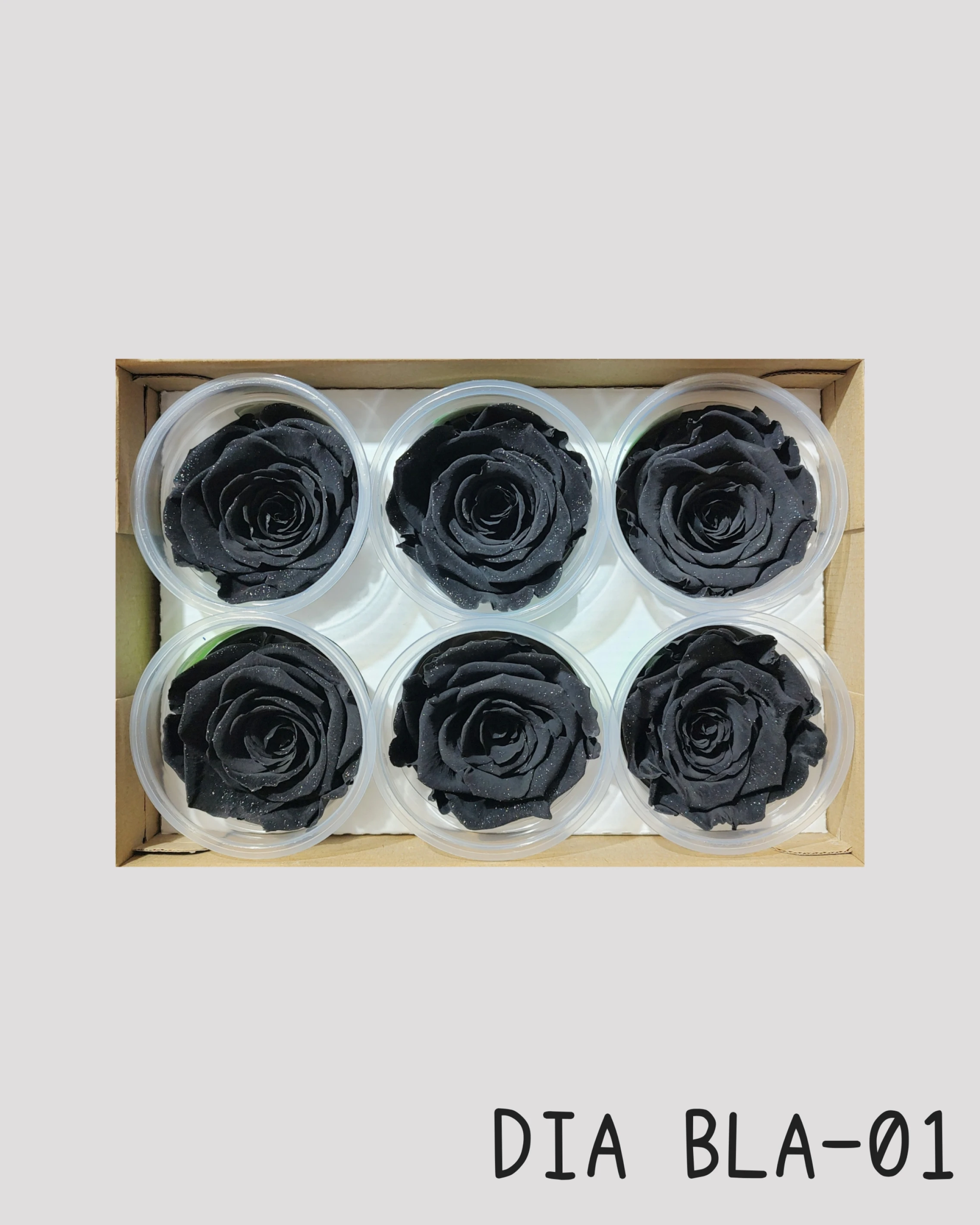 厄瓜多 RoseAmor XL 特大玫瑰 鑽石黑