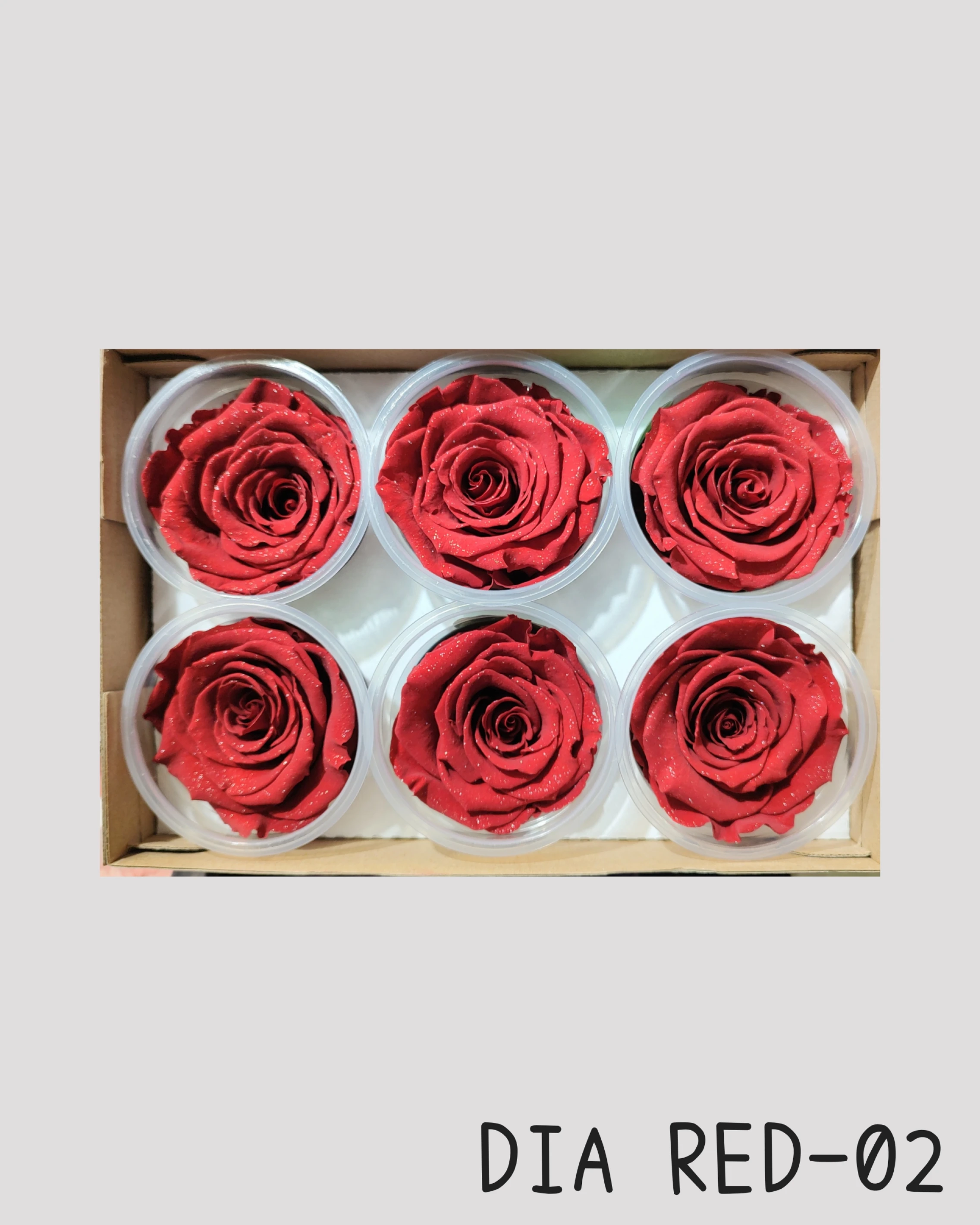 厄瓜多 RoseAmor XL 特大玫瑰 鑽石紅