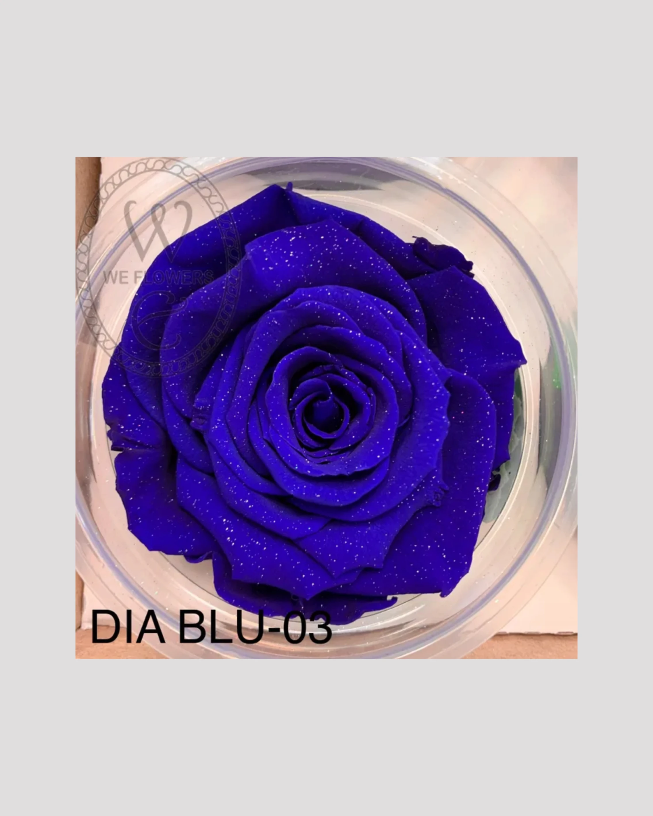 *厄瓜多 RoseAmor XL 特大玫瑰 鑽石深藍