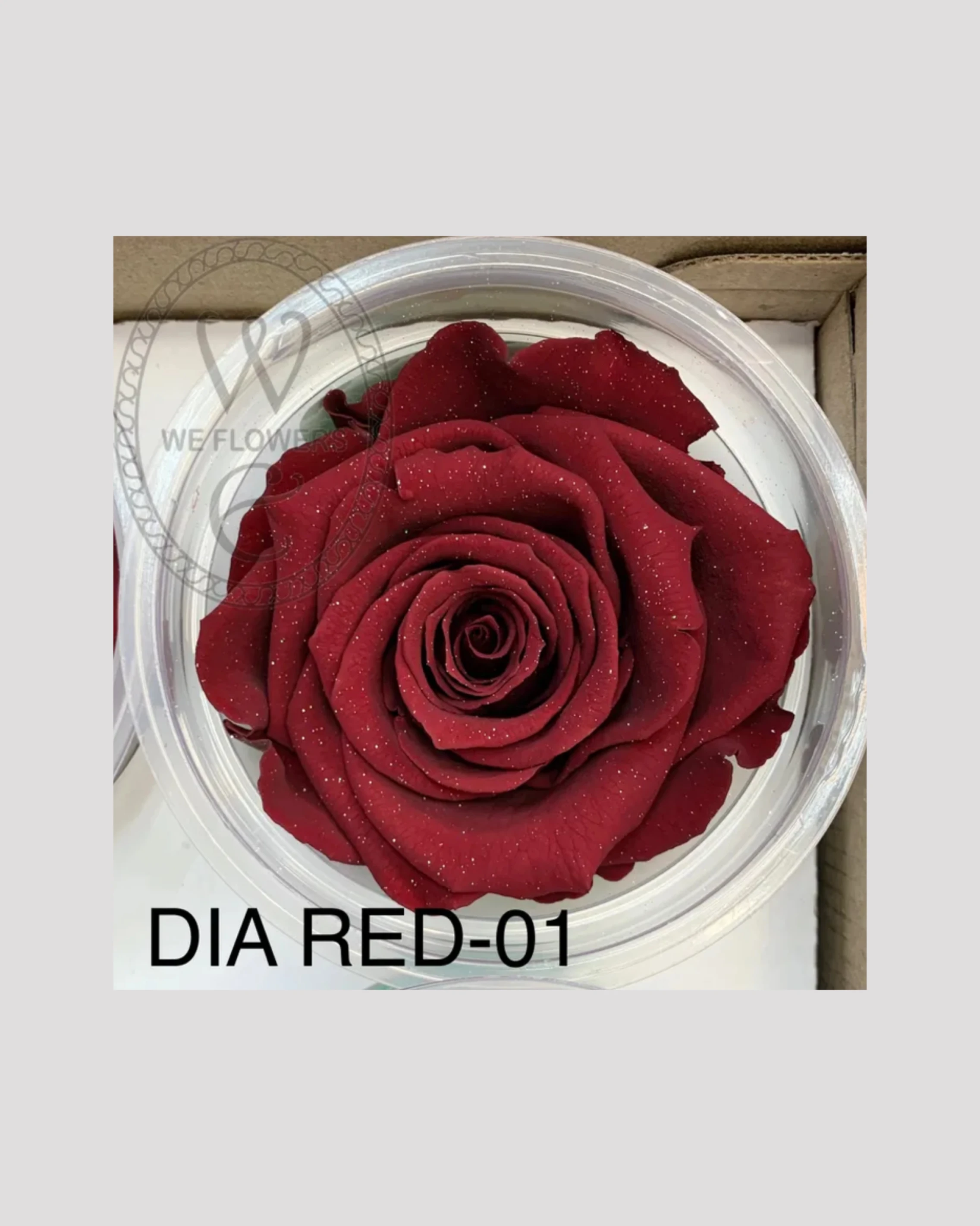 *厄瓜多 RoseAmor XL 特大玫瑰 鑽石深紅