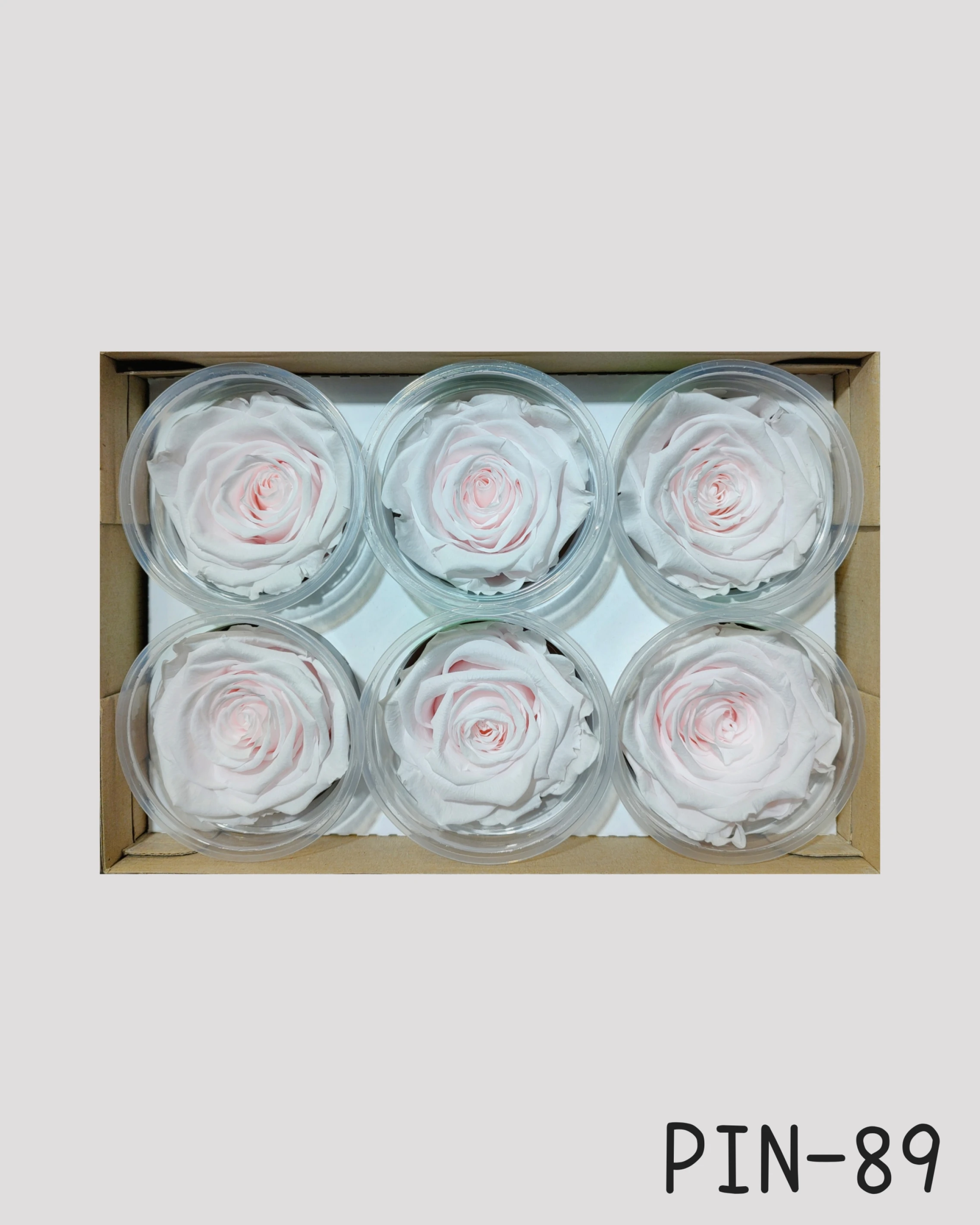 厄瓜多 RoseAmor XL 特大玫瑰