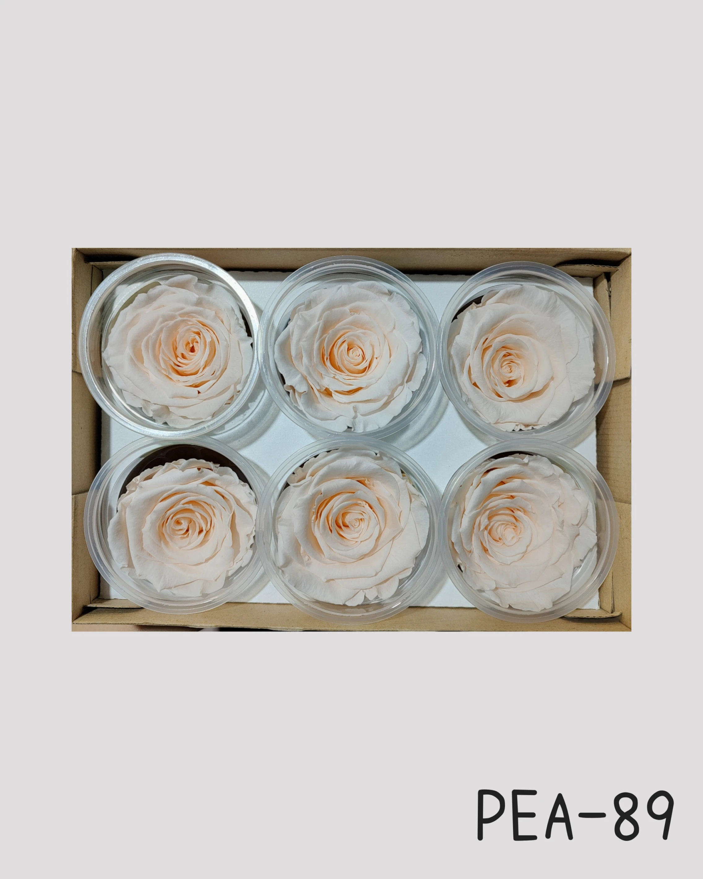 厄瓜多 RoseAmor XL 特大玫瑰