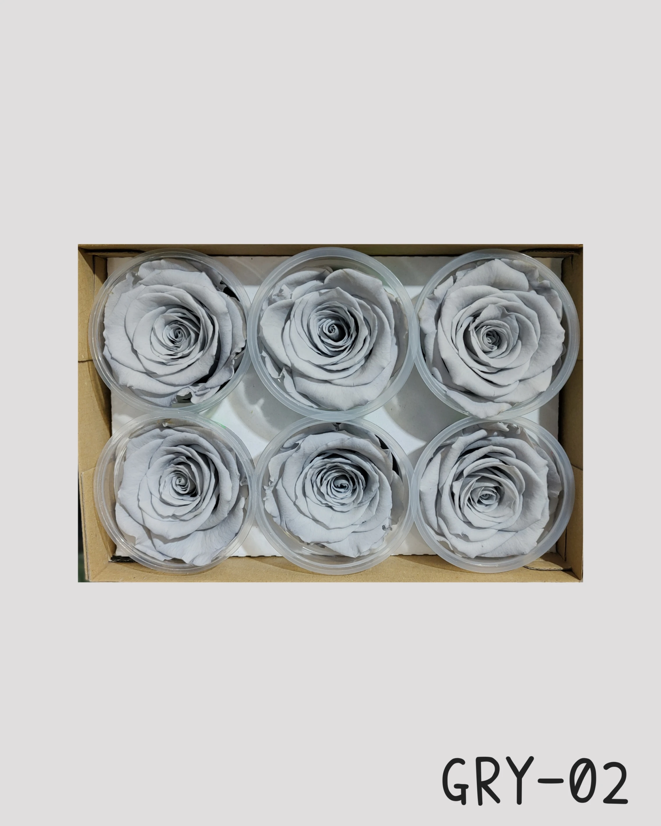 厄瓜多 RoseAmor XL 特大玫瑰