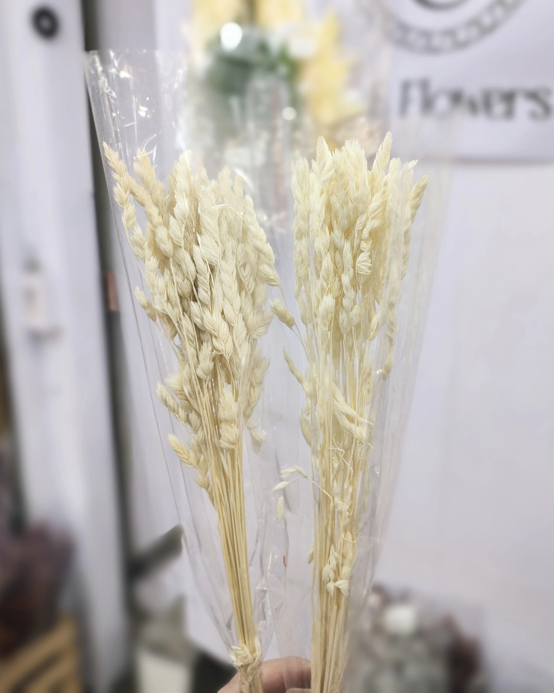 鴨茅