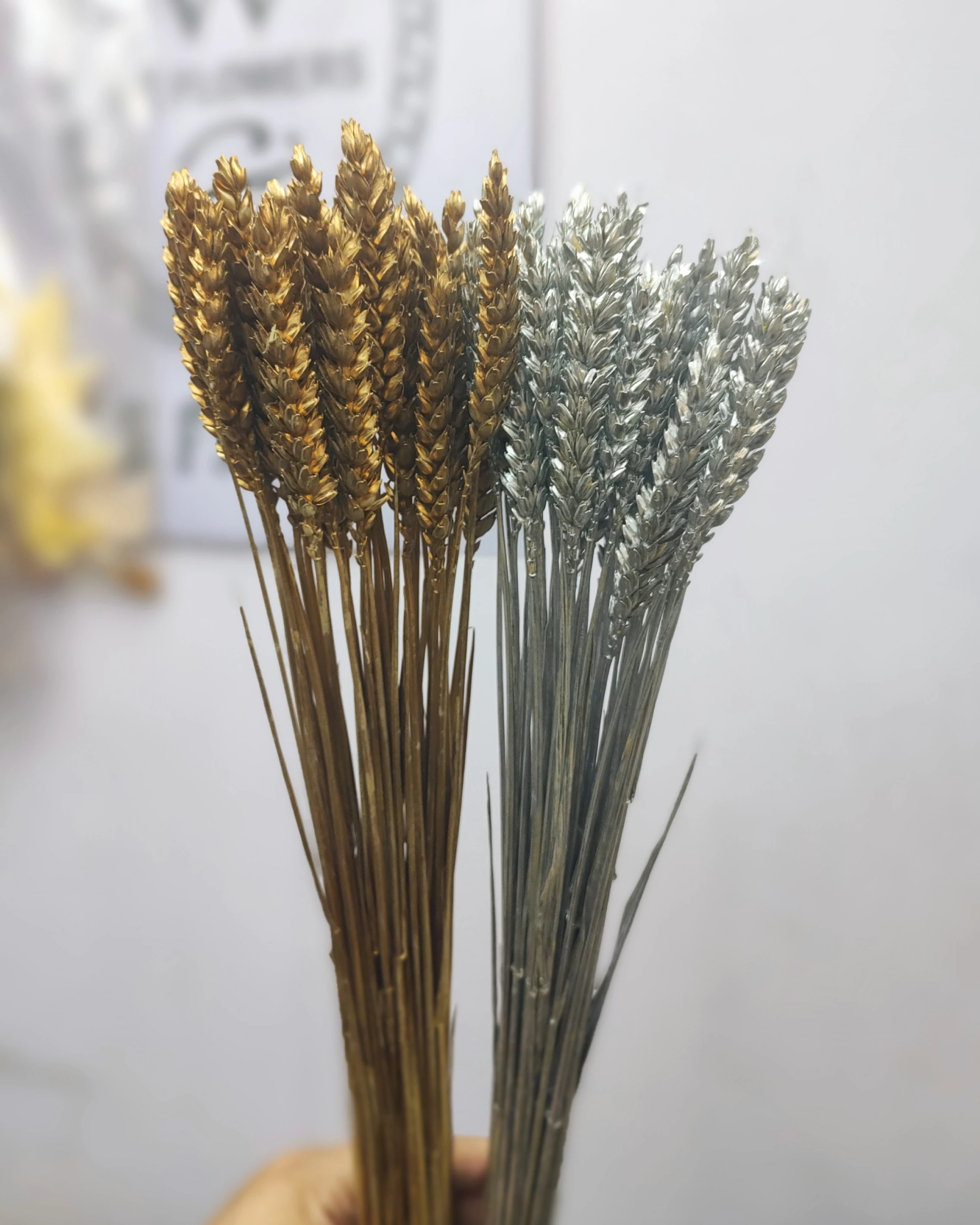 荷蘭乾燥小麥