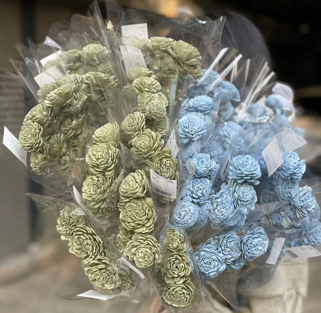 *日本索拉貝莉玫瑰 小 太陽玫瑰
