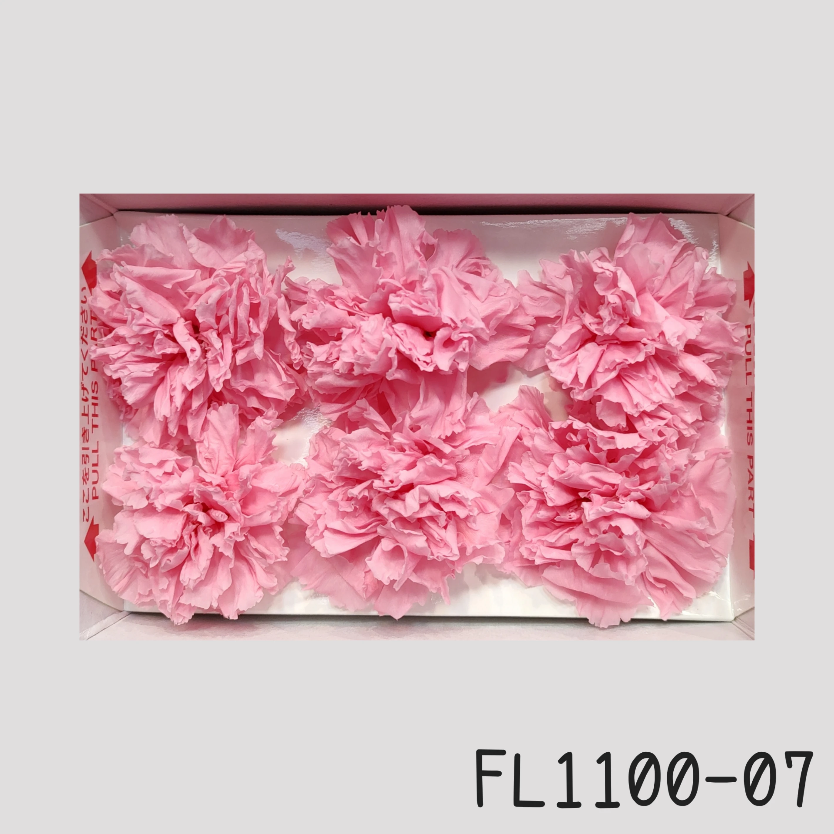 日本Florever 康乃馨
