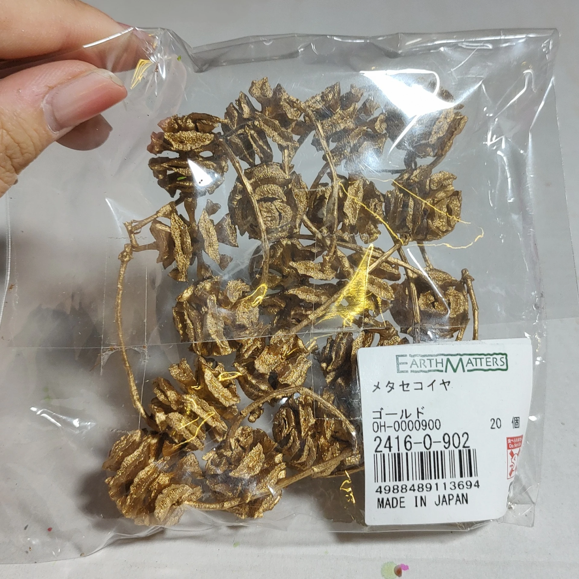 日本大地農園 水杉果實 金
