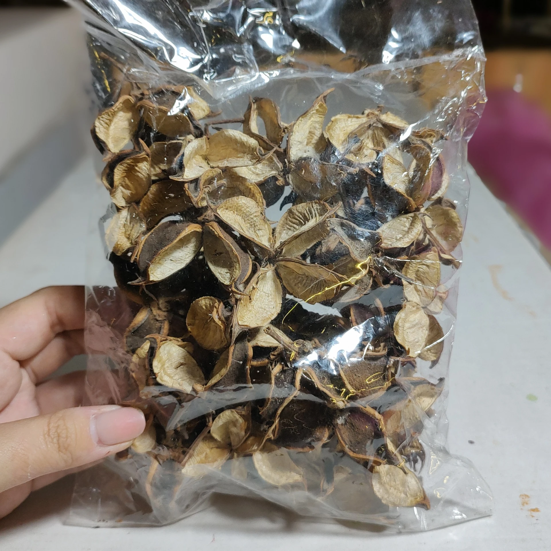 棉花殼 原色