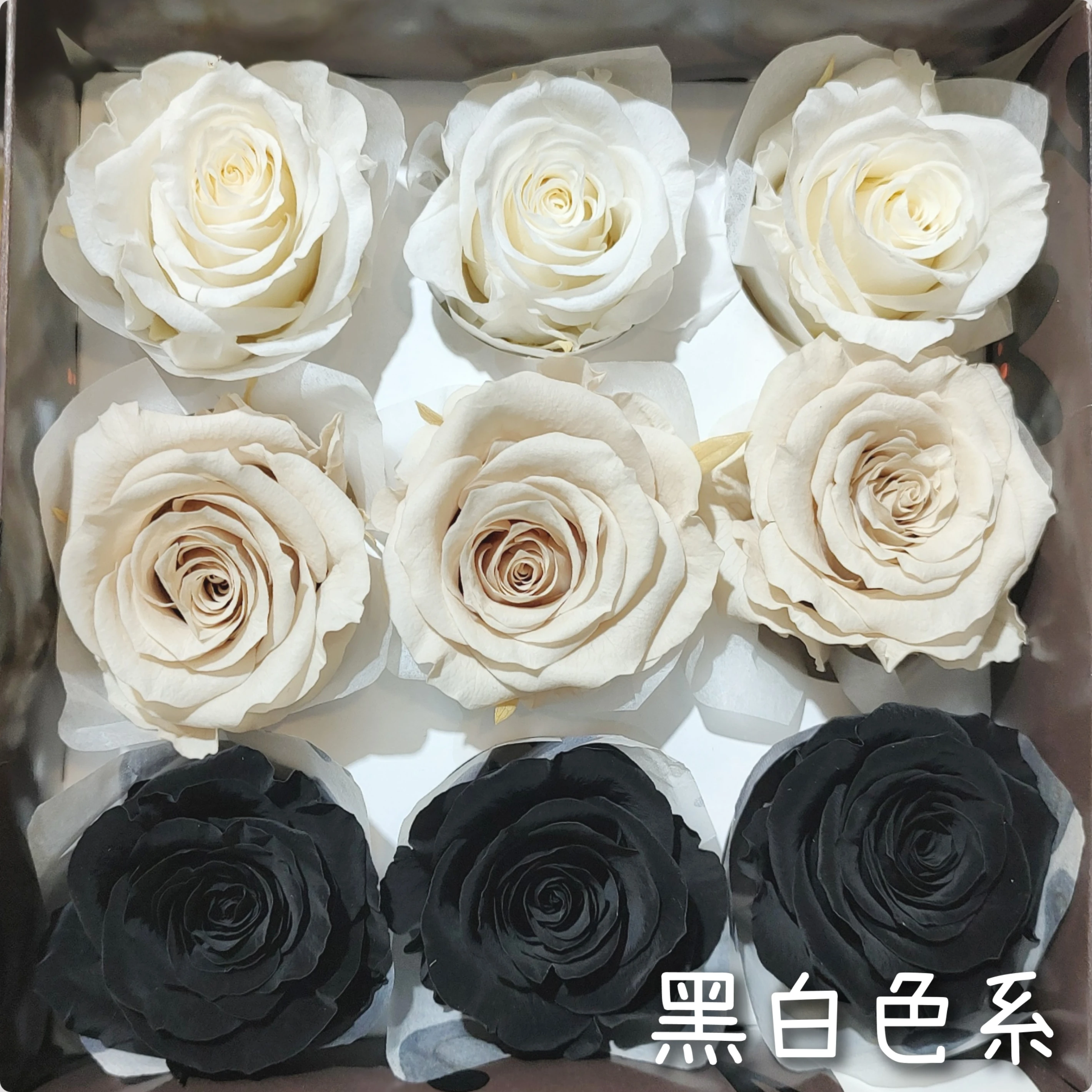 日本大地農園 大玫瑰混色