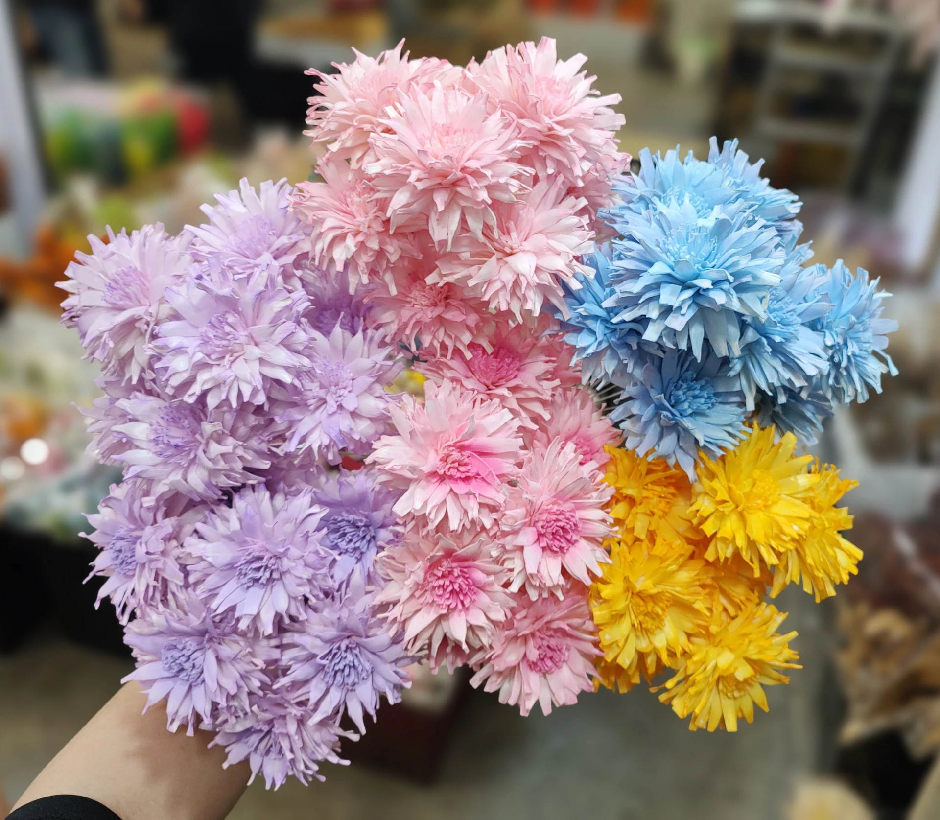 索拉重瓣煙火大理花 7公分