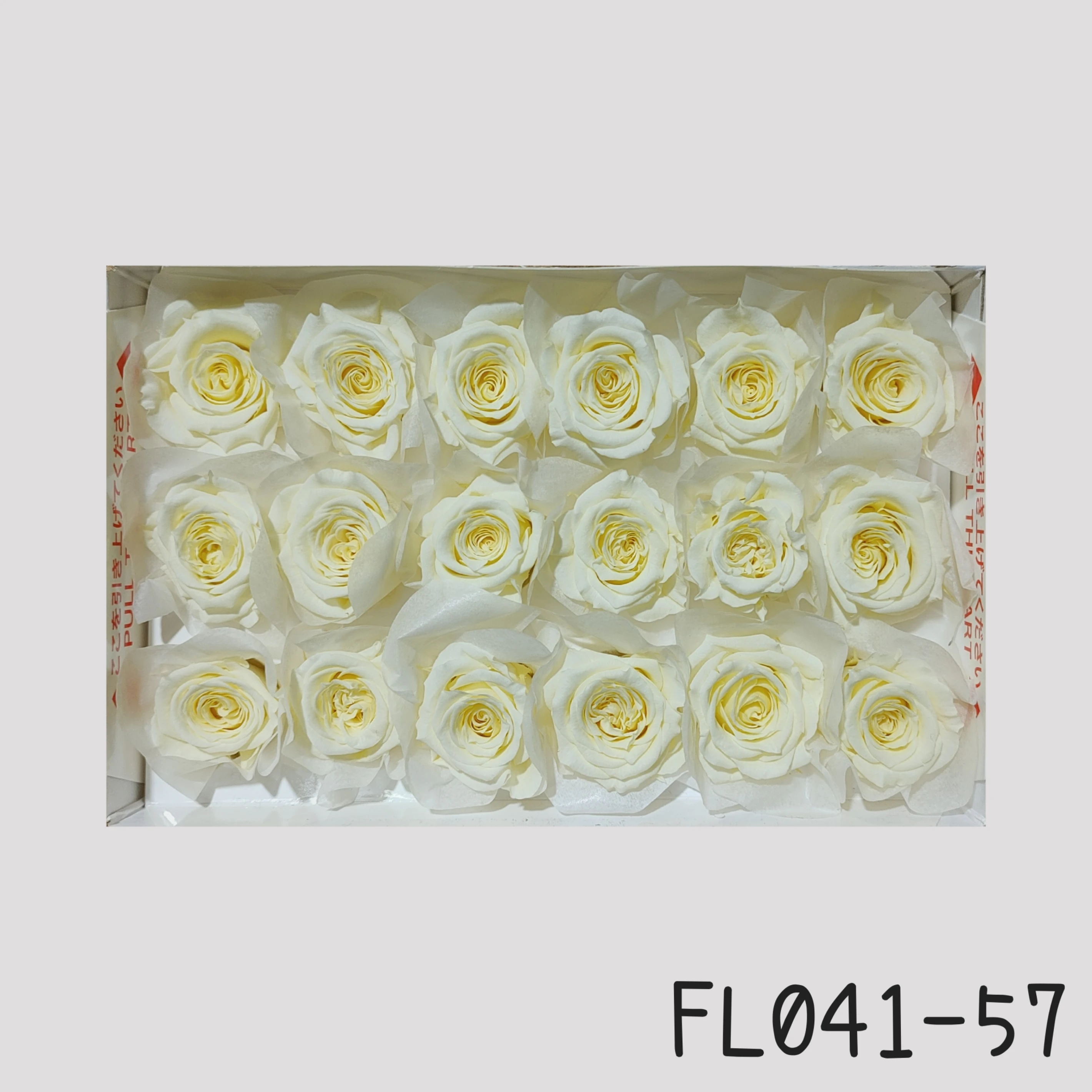 日本Florever 小玫瑰
