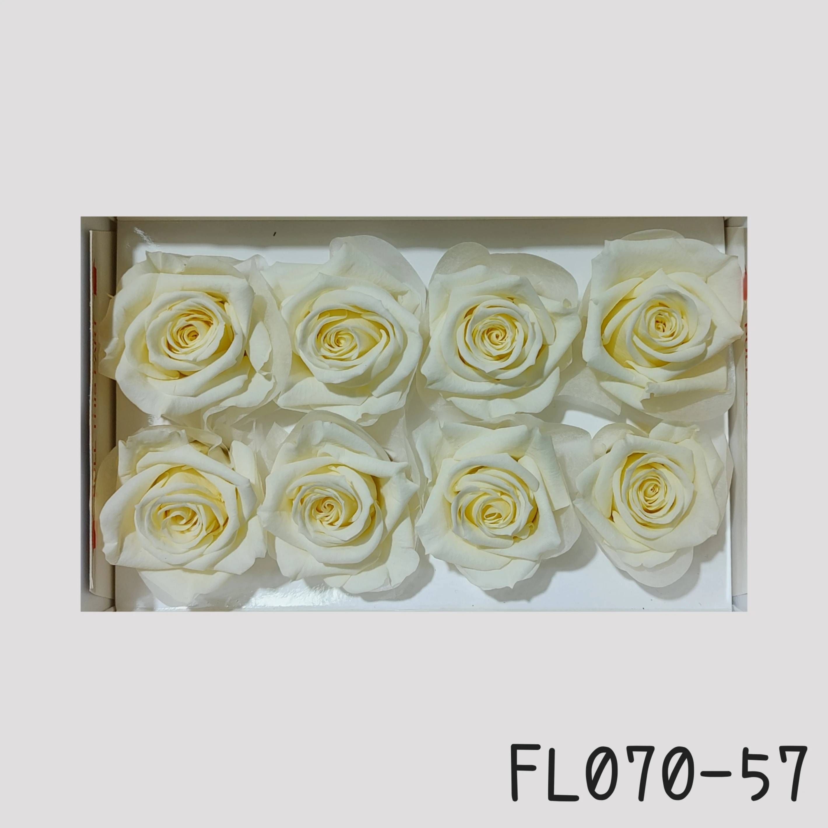日本Florever 中玫瑰