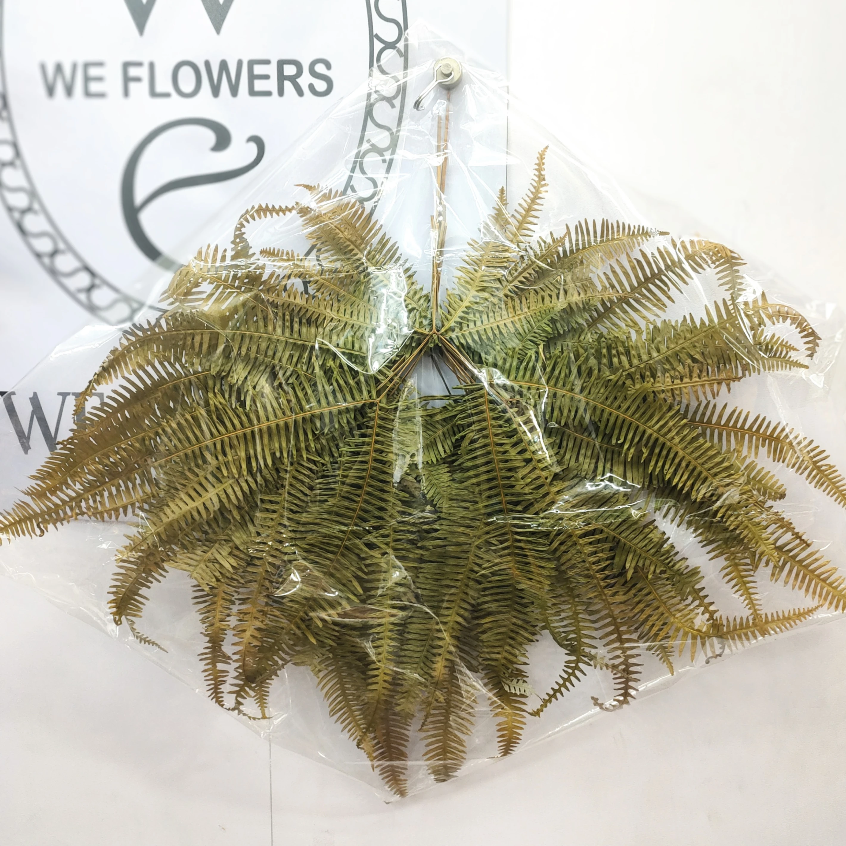 乾燥芒萁 片裝