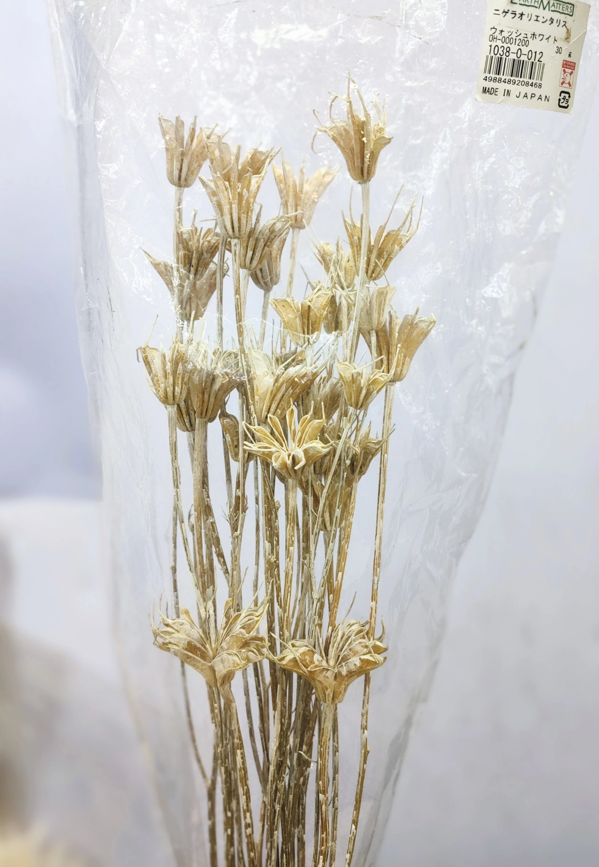 日本大地農園 木百合 八角花 刷白