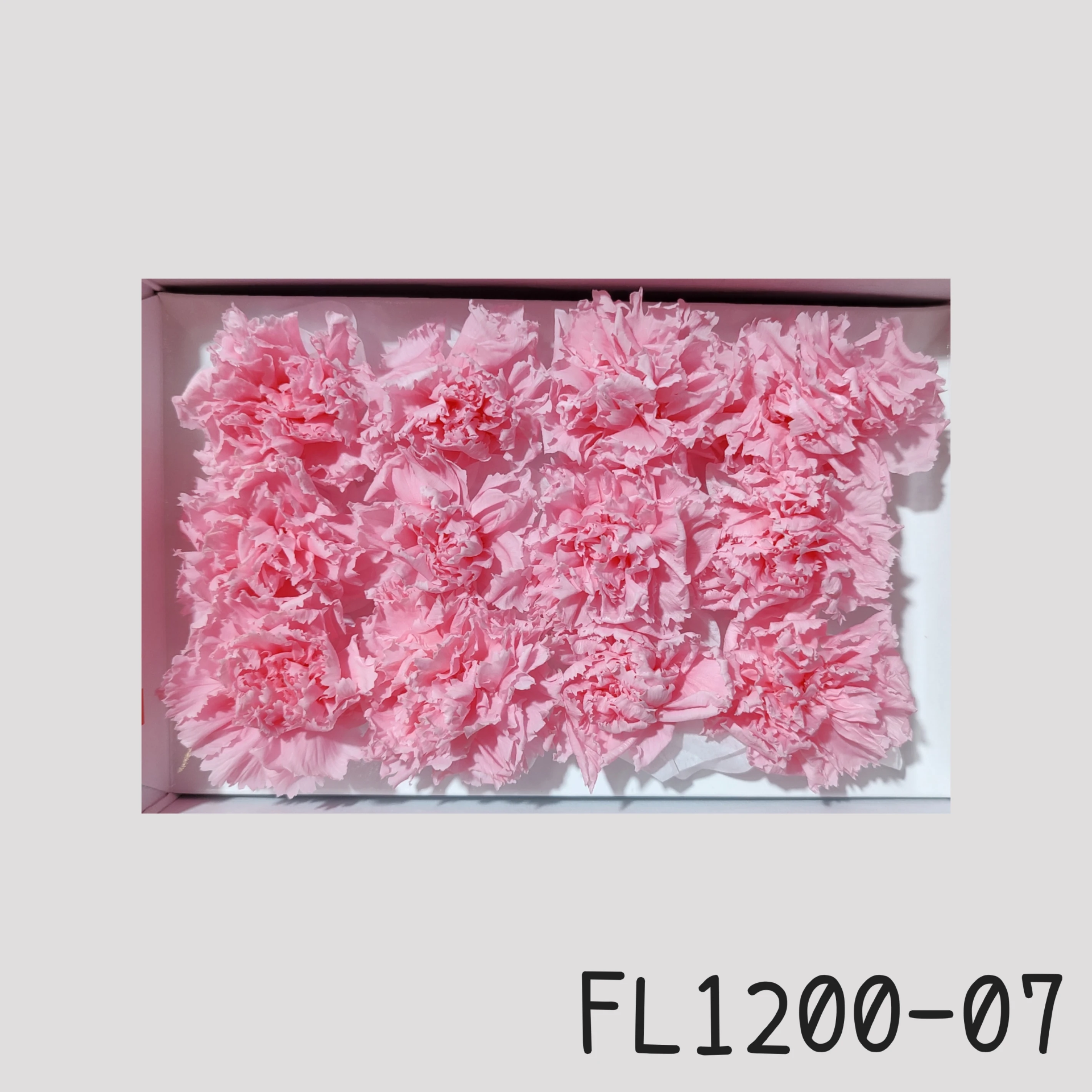 日本Florever 小康乃馨