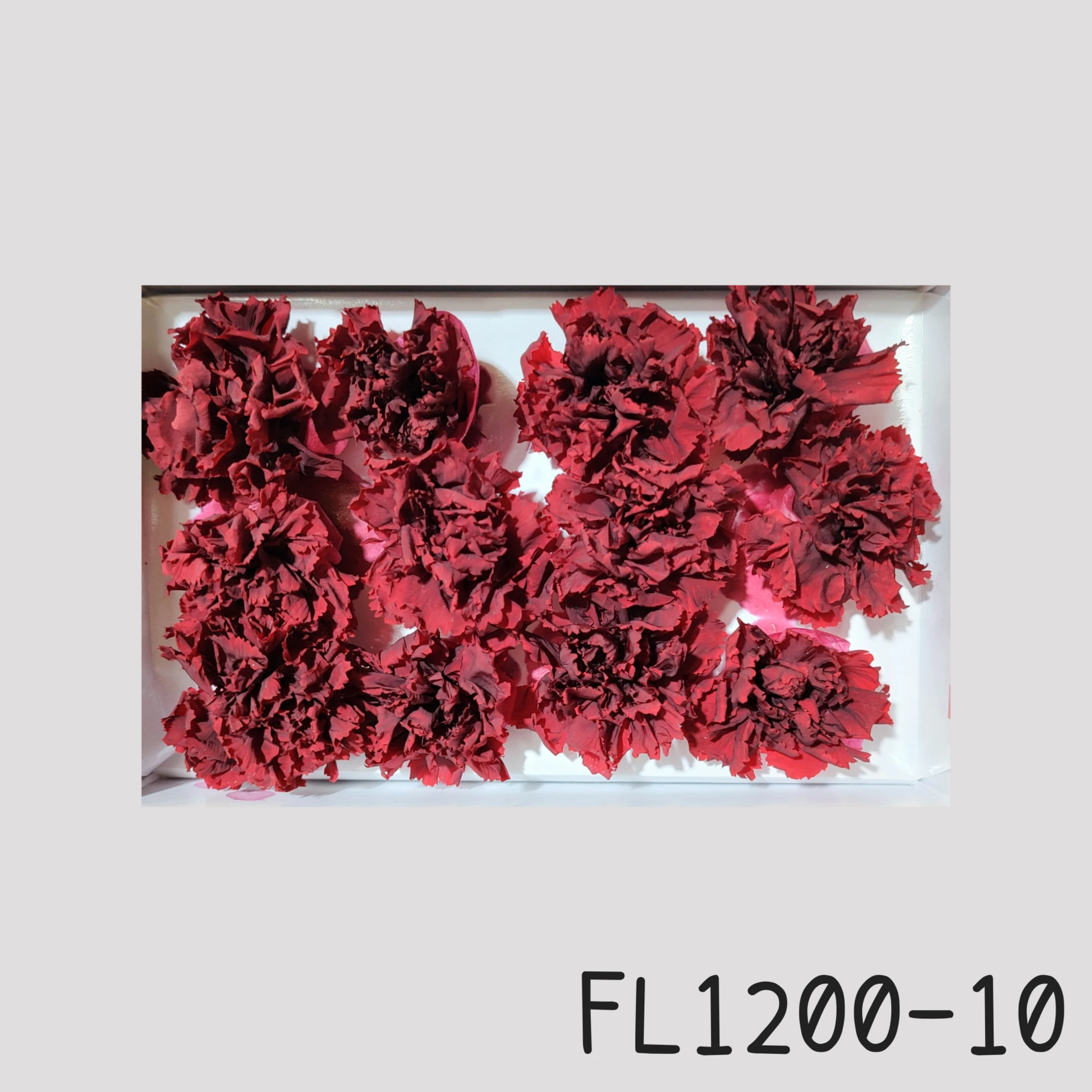 日本Florever 小康乃馨