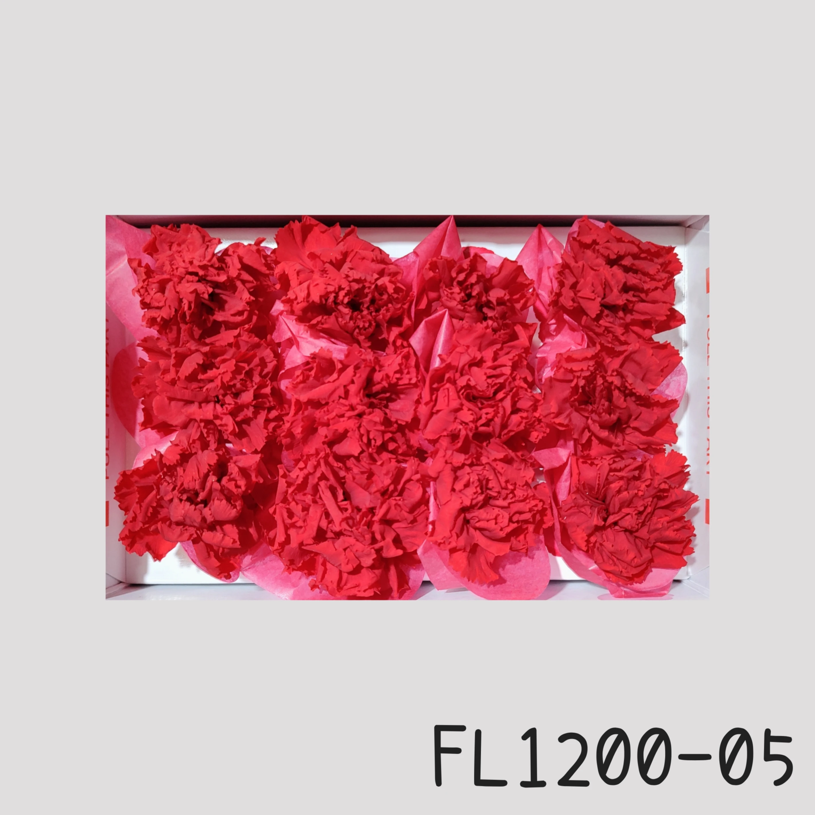 日本Florever 小康乃馨