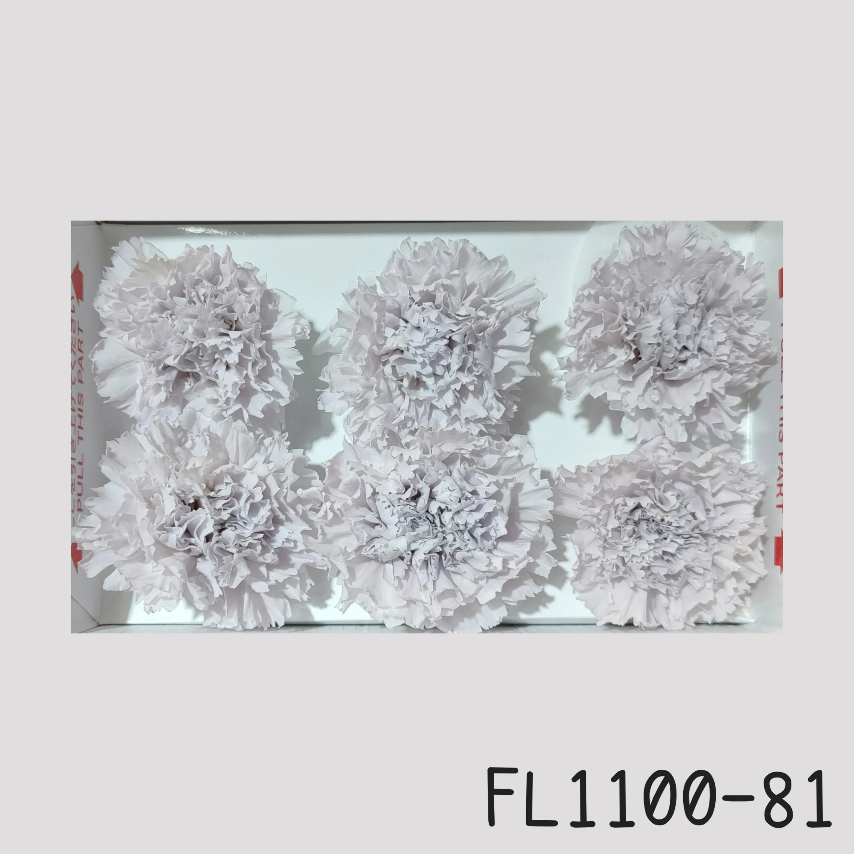 日本Florever 康乃馨