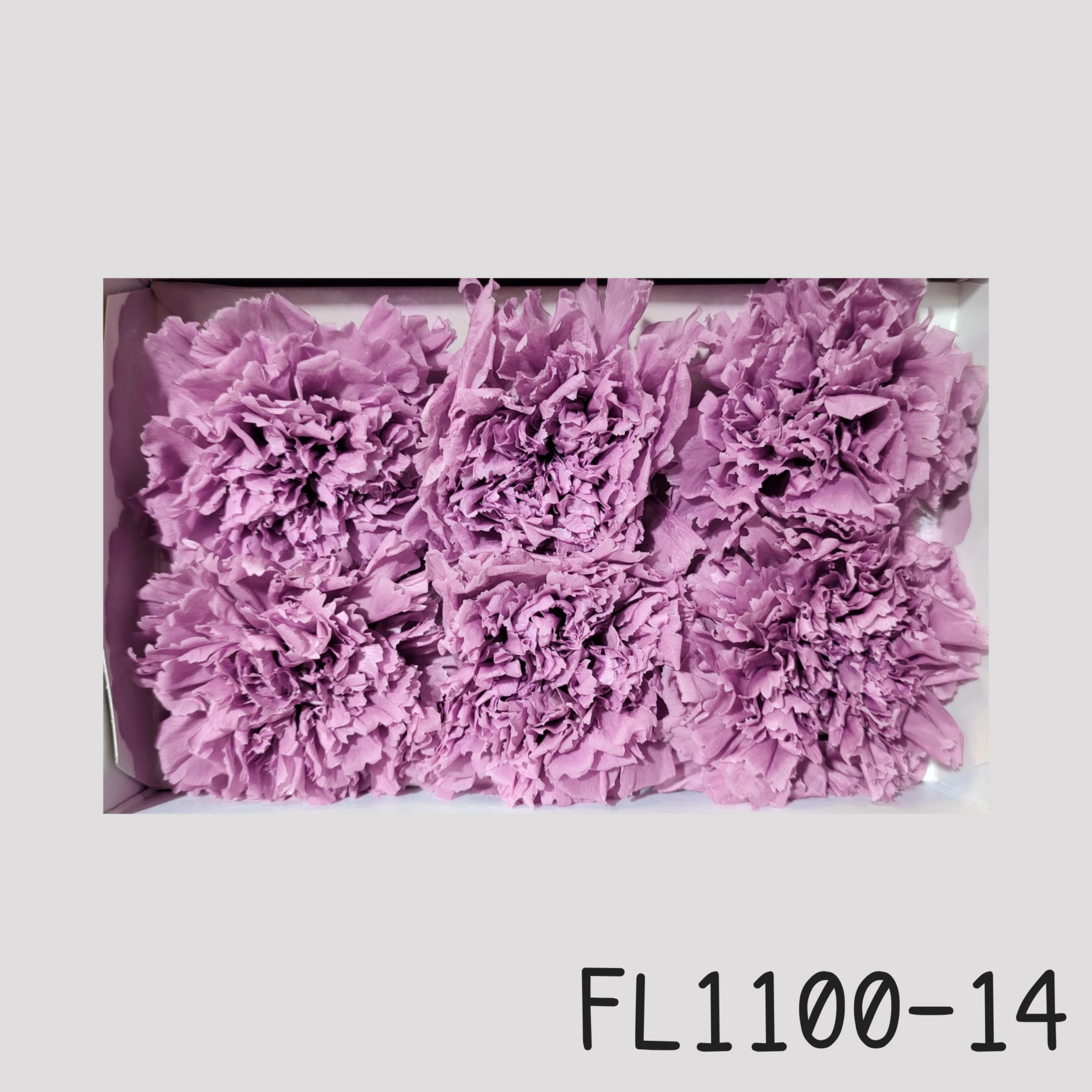 日本Florever 康乃馨