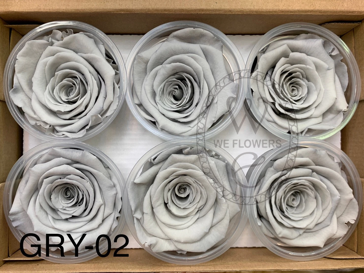 厄瓜多 RoseAmor XL 特大玫瑰