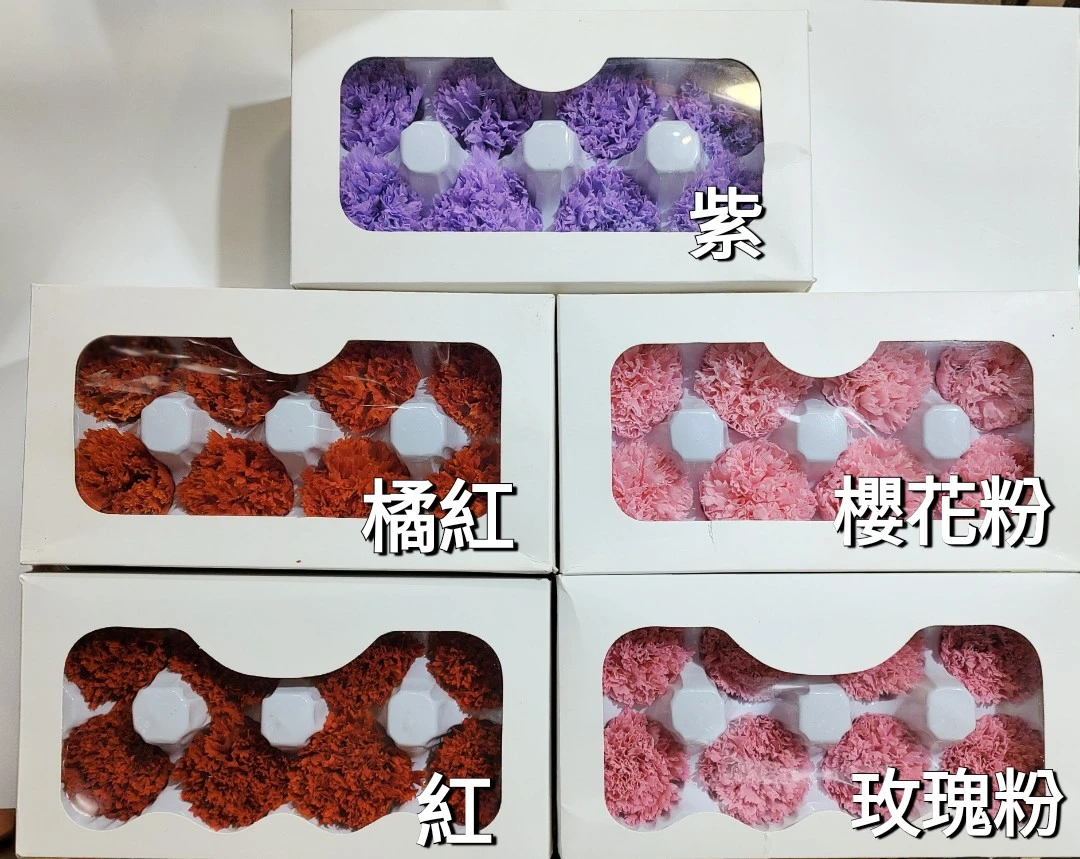 永生康乃馨