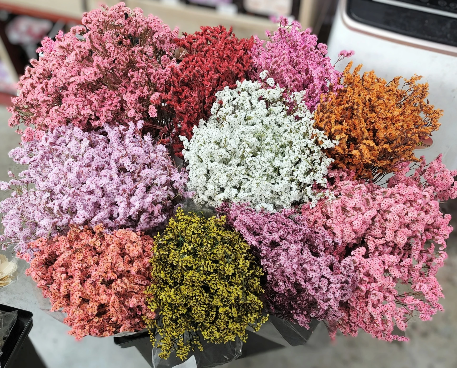 永生水晶花