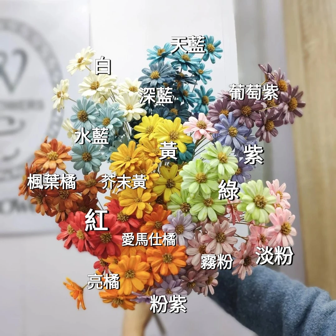 手工瑪格麗特 瓜子花