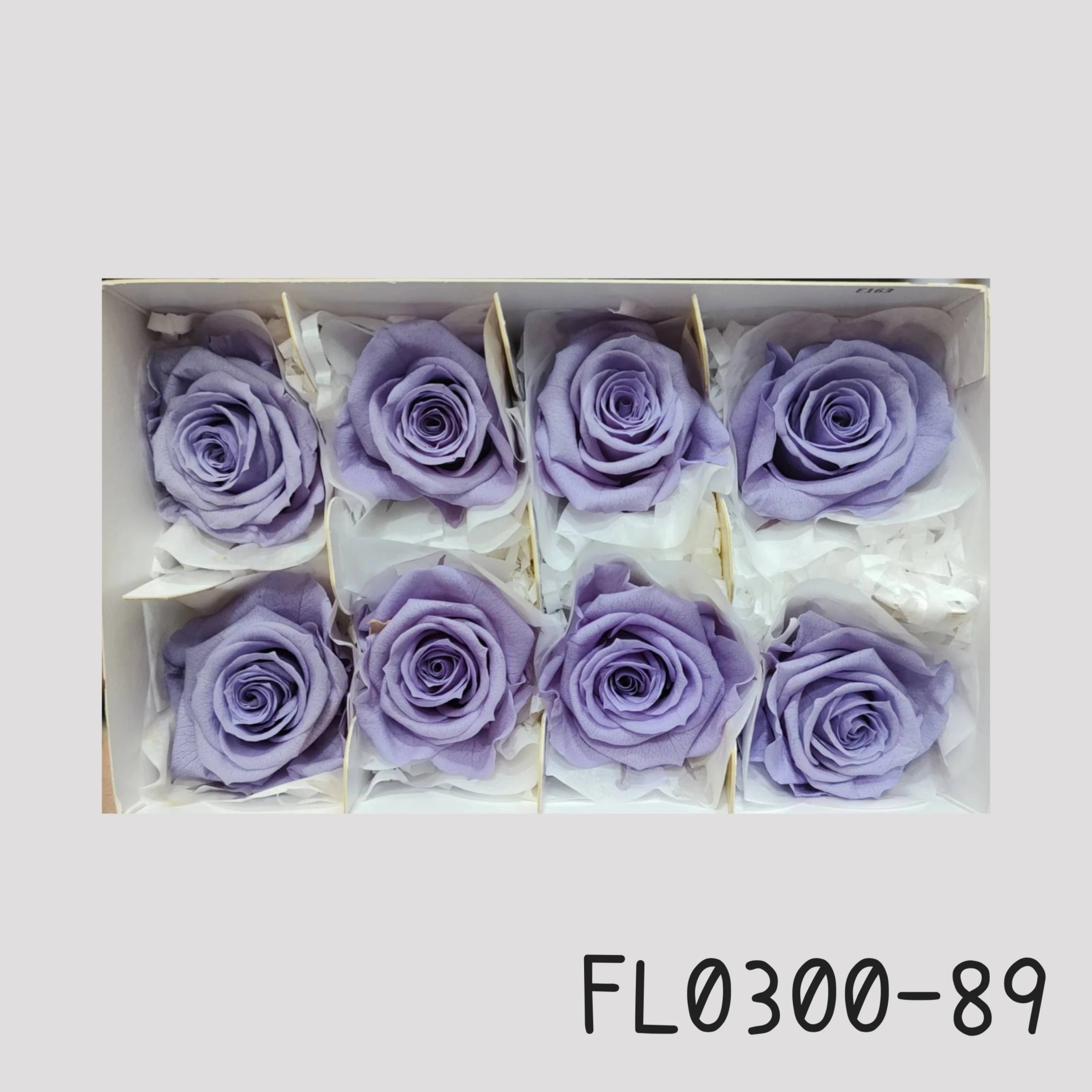日本Florever 大玫瑰