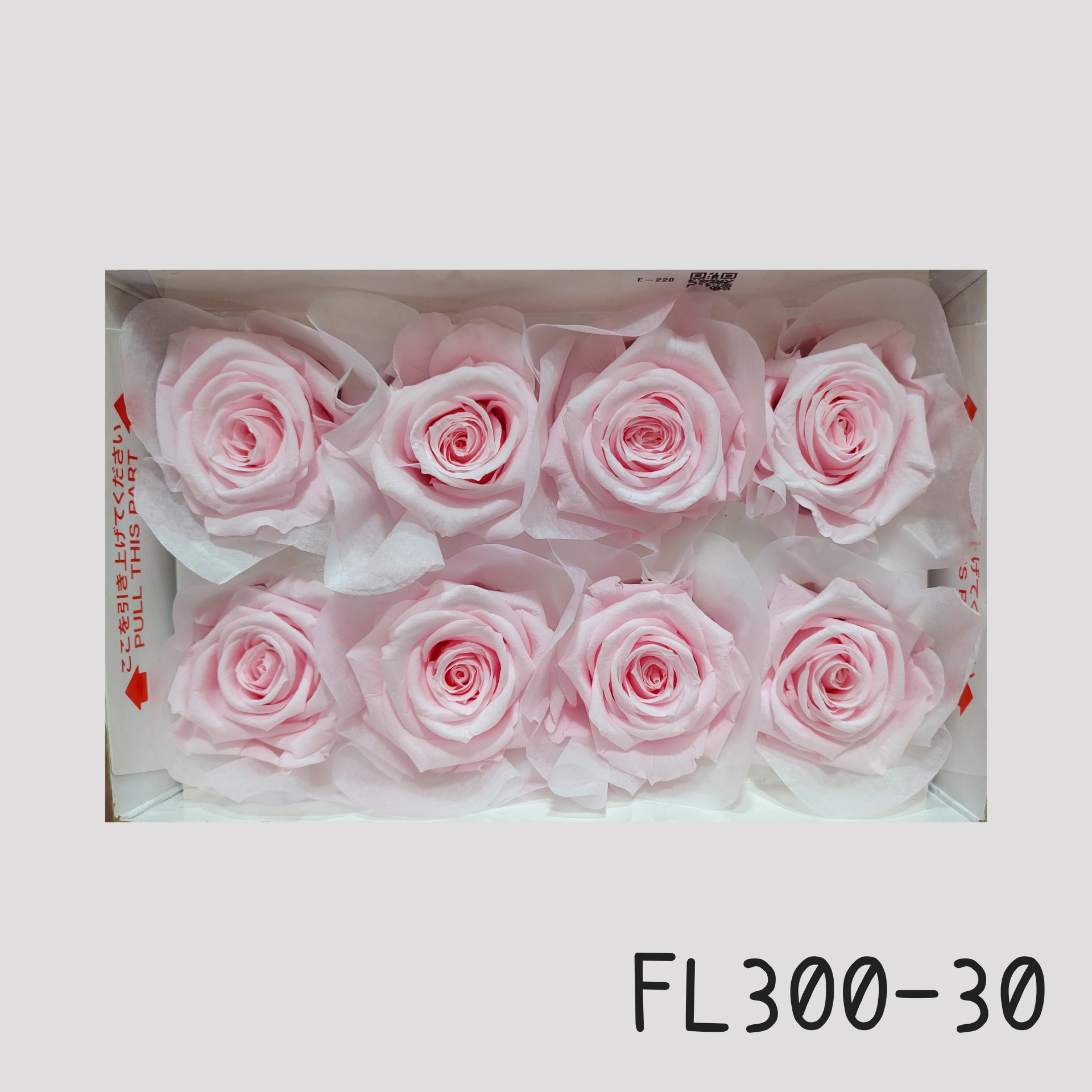 日本Florever 大玫瑰