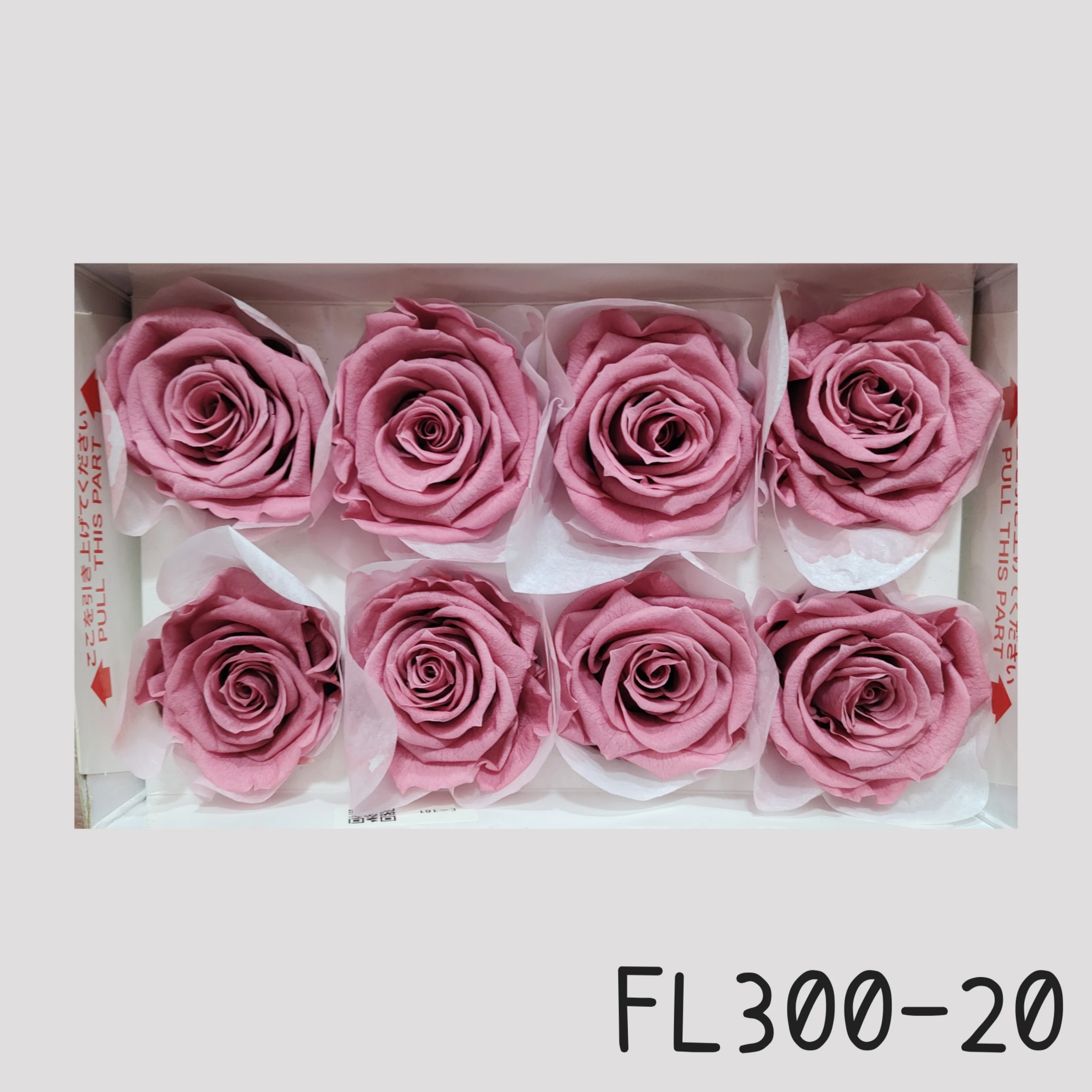 日本Florever 大玫瑰