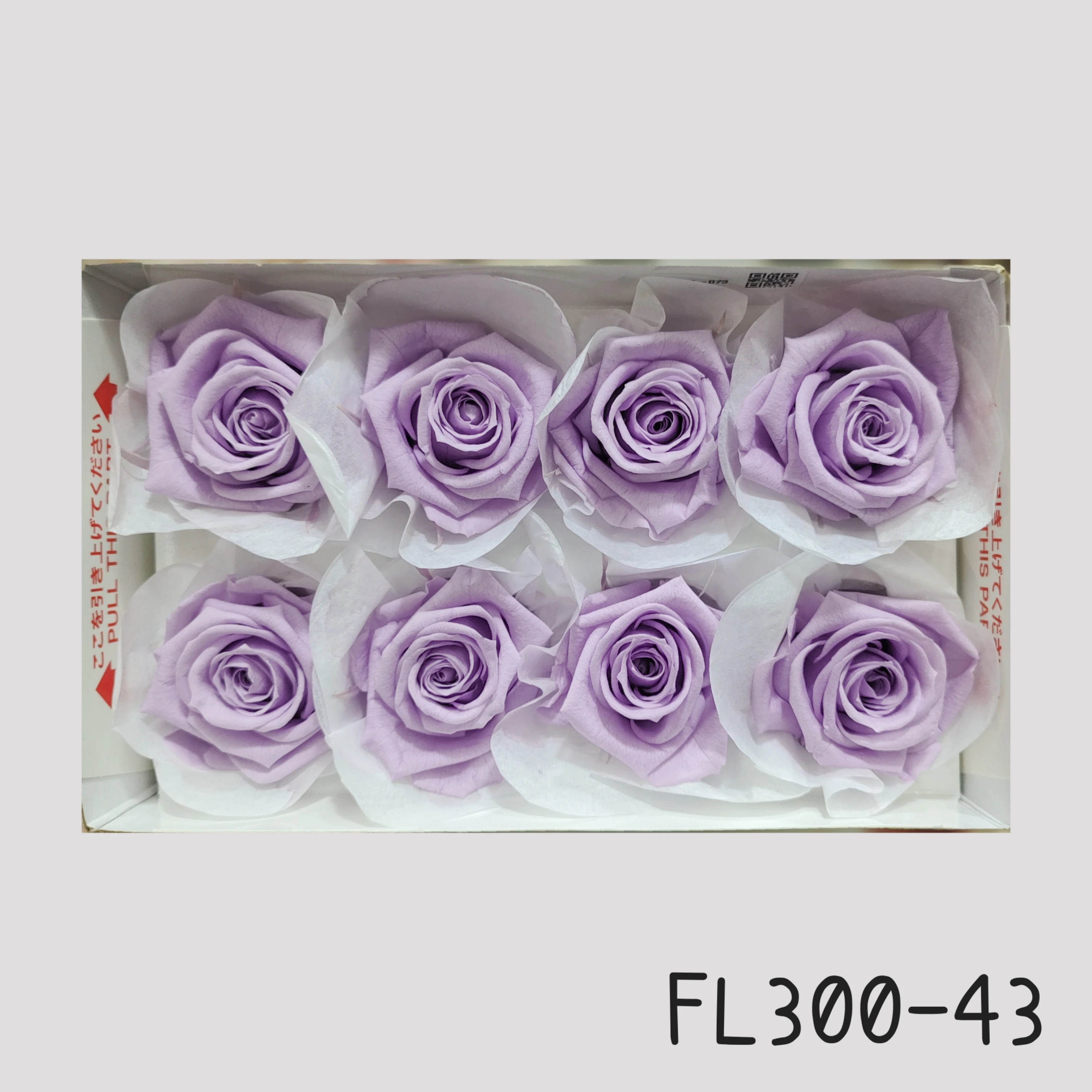 日本Florever 大玫瑰