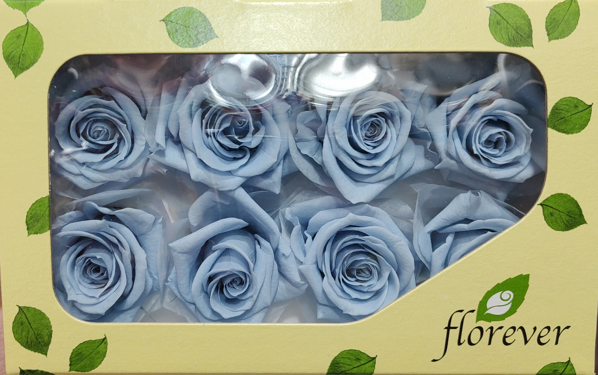 日本Florever 中玫瑰