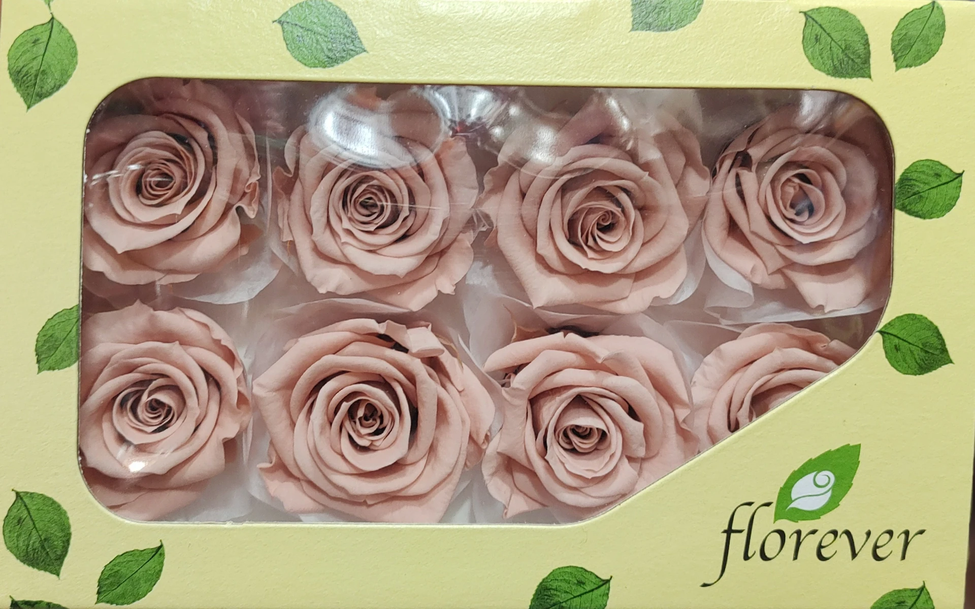 日本Florever 中玫瑰