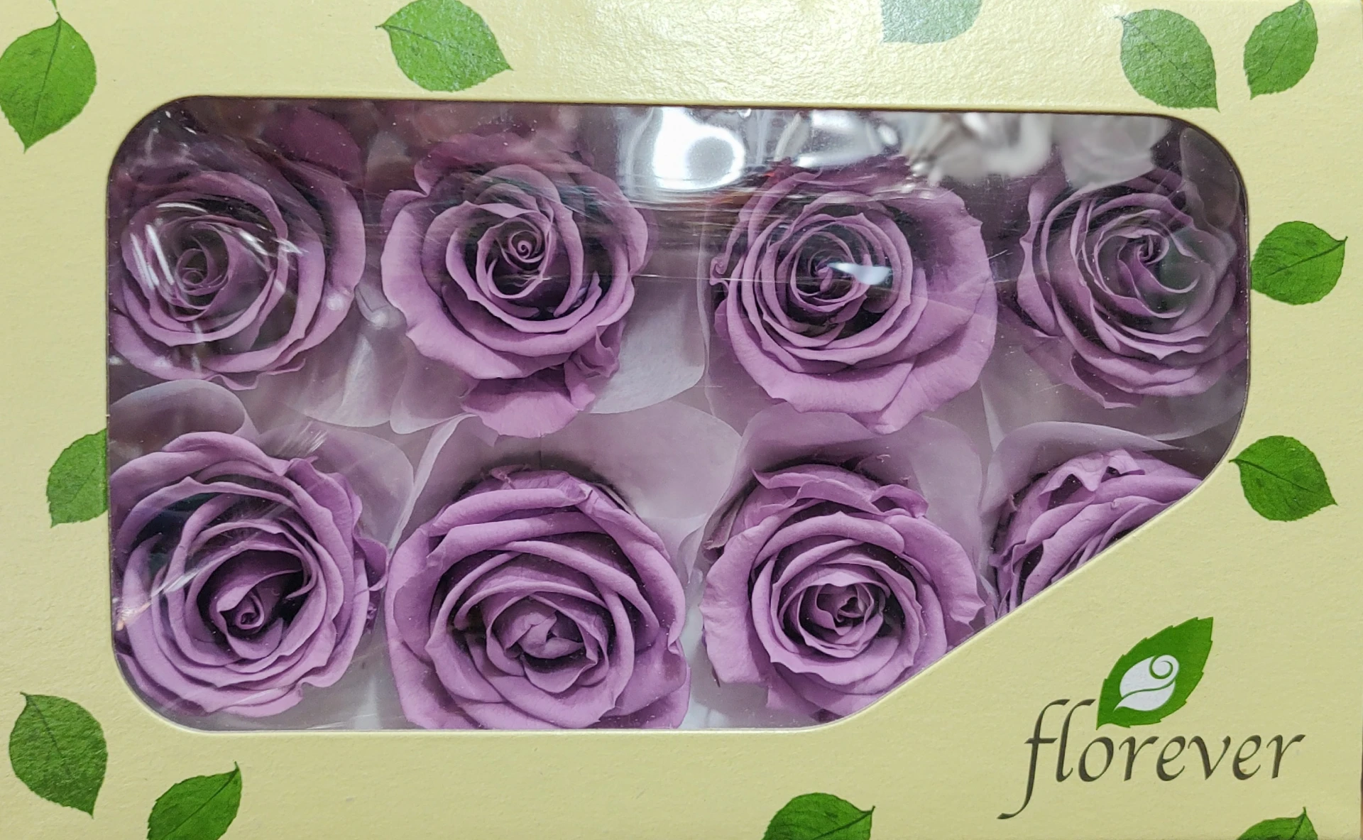 日本Florever 中玫瑰