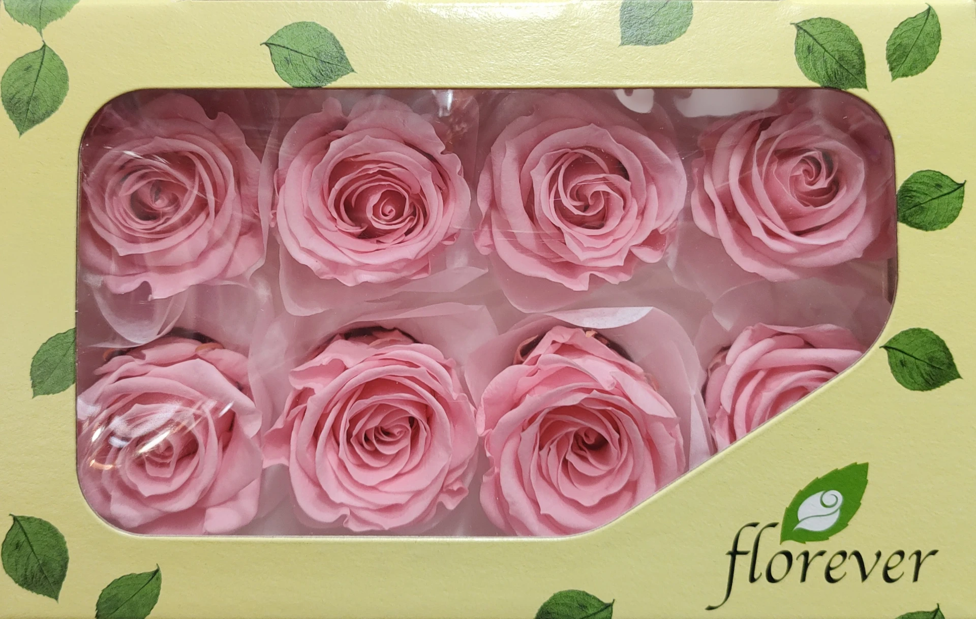 日本Florever 中玫瑰