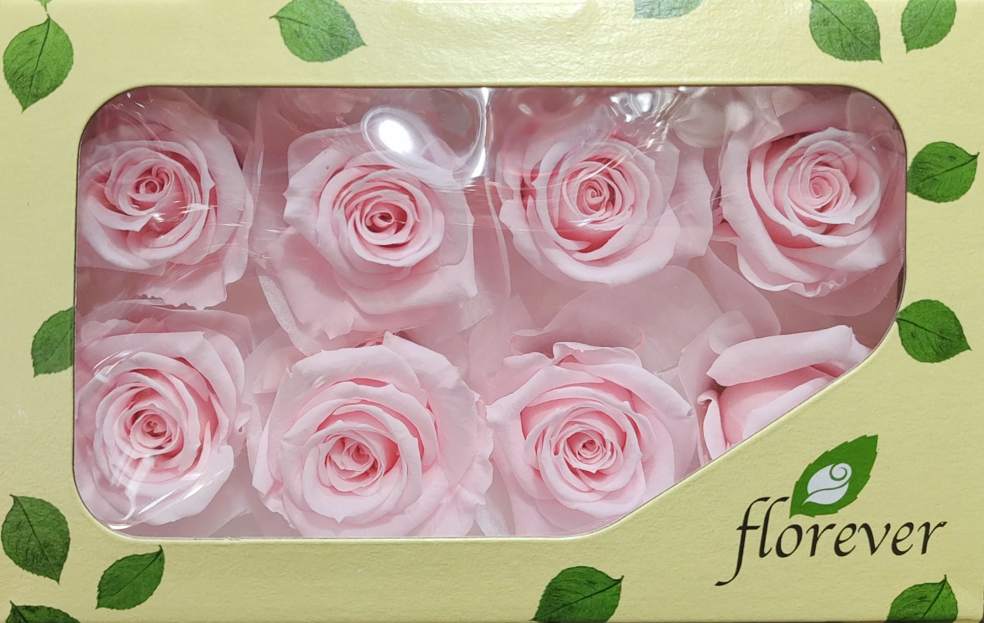 日本Florever 中玫瑰