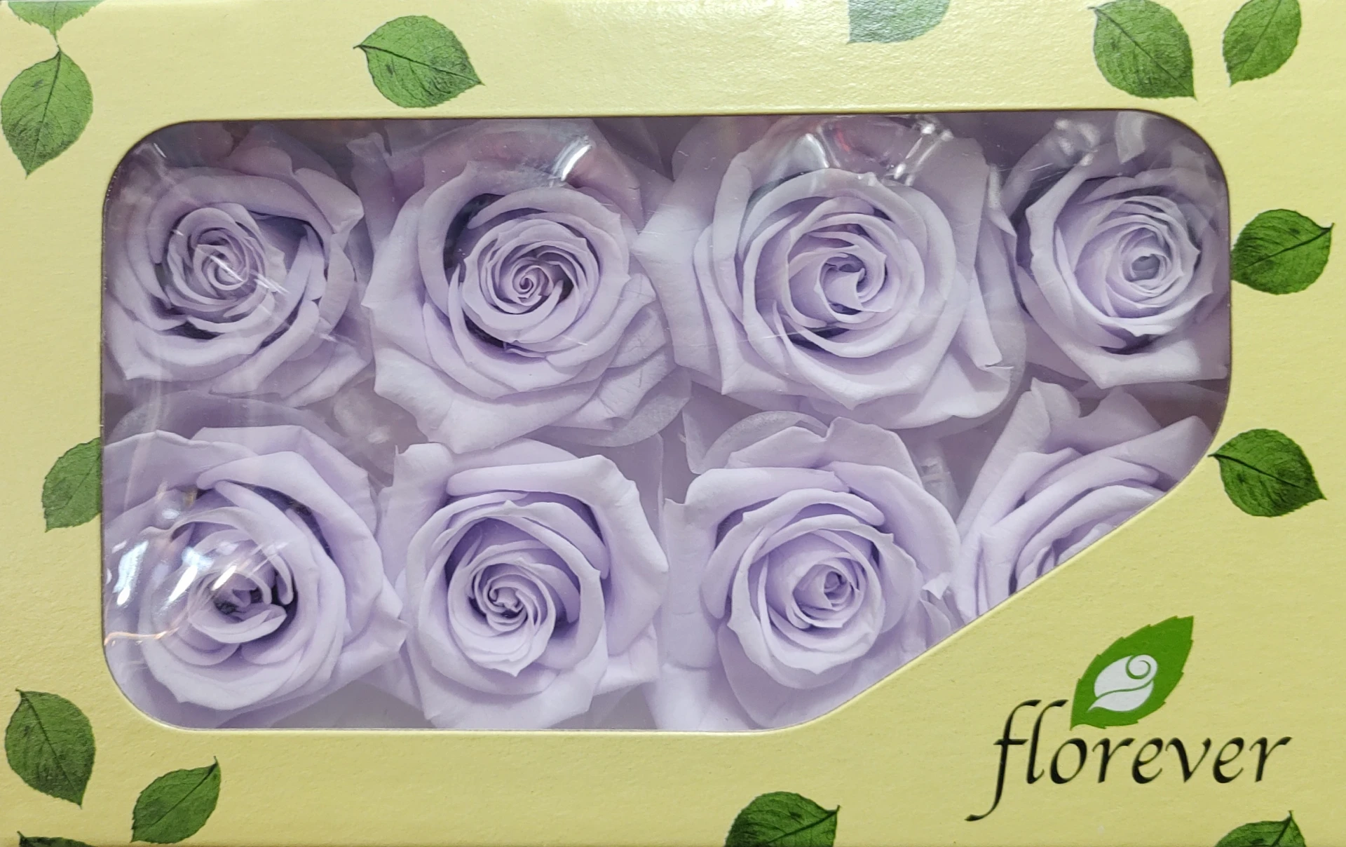 日本Florever 中玫瑰