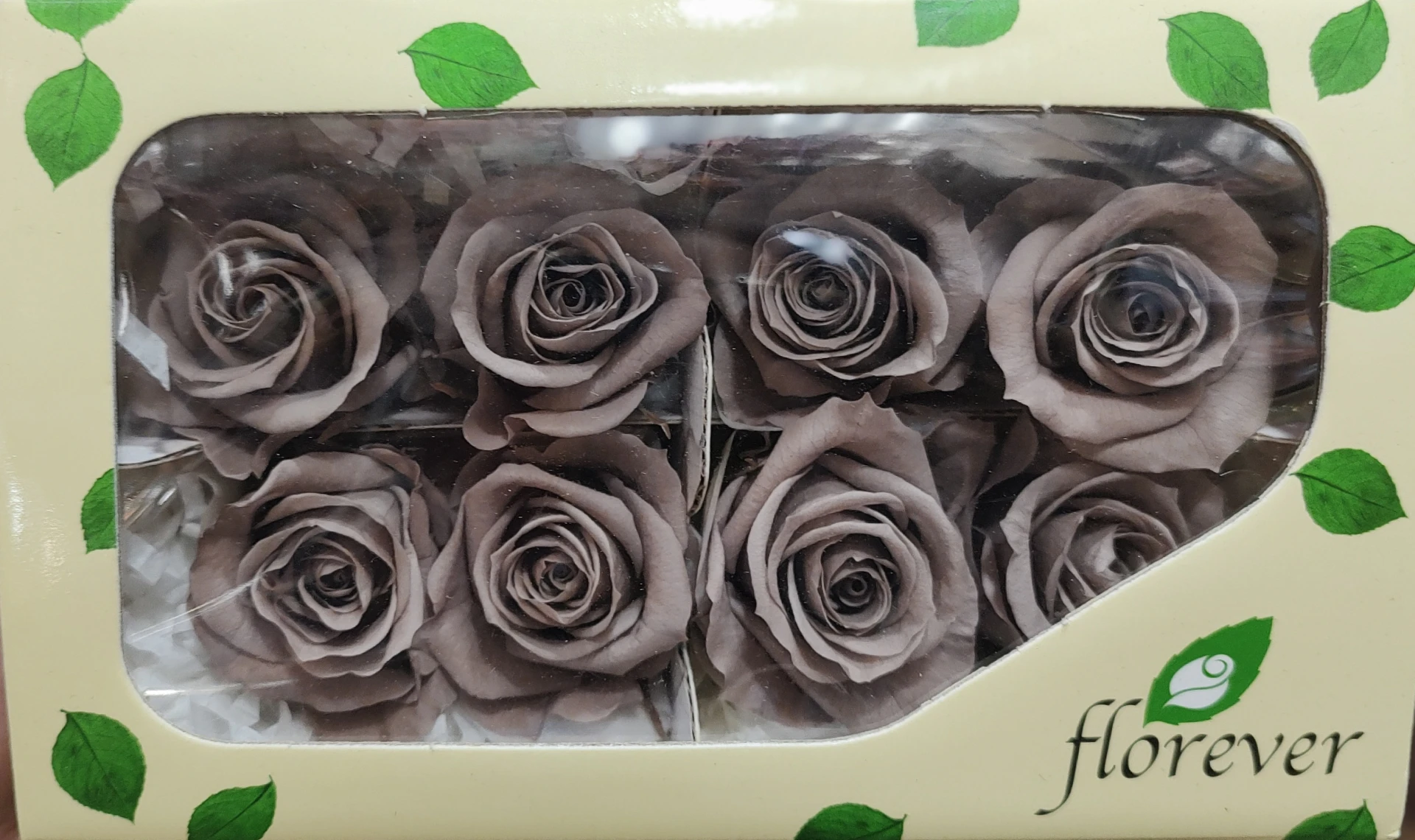 日本Florever 中玫瑰