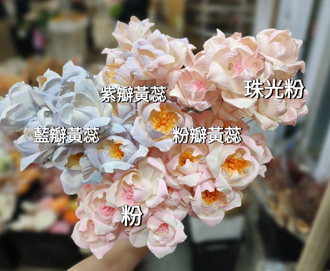 索拉桔梗
