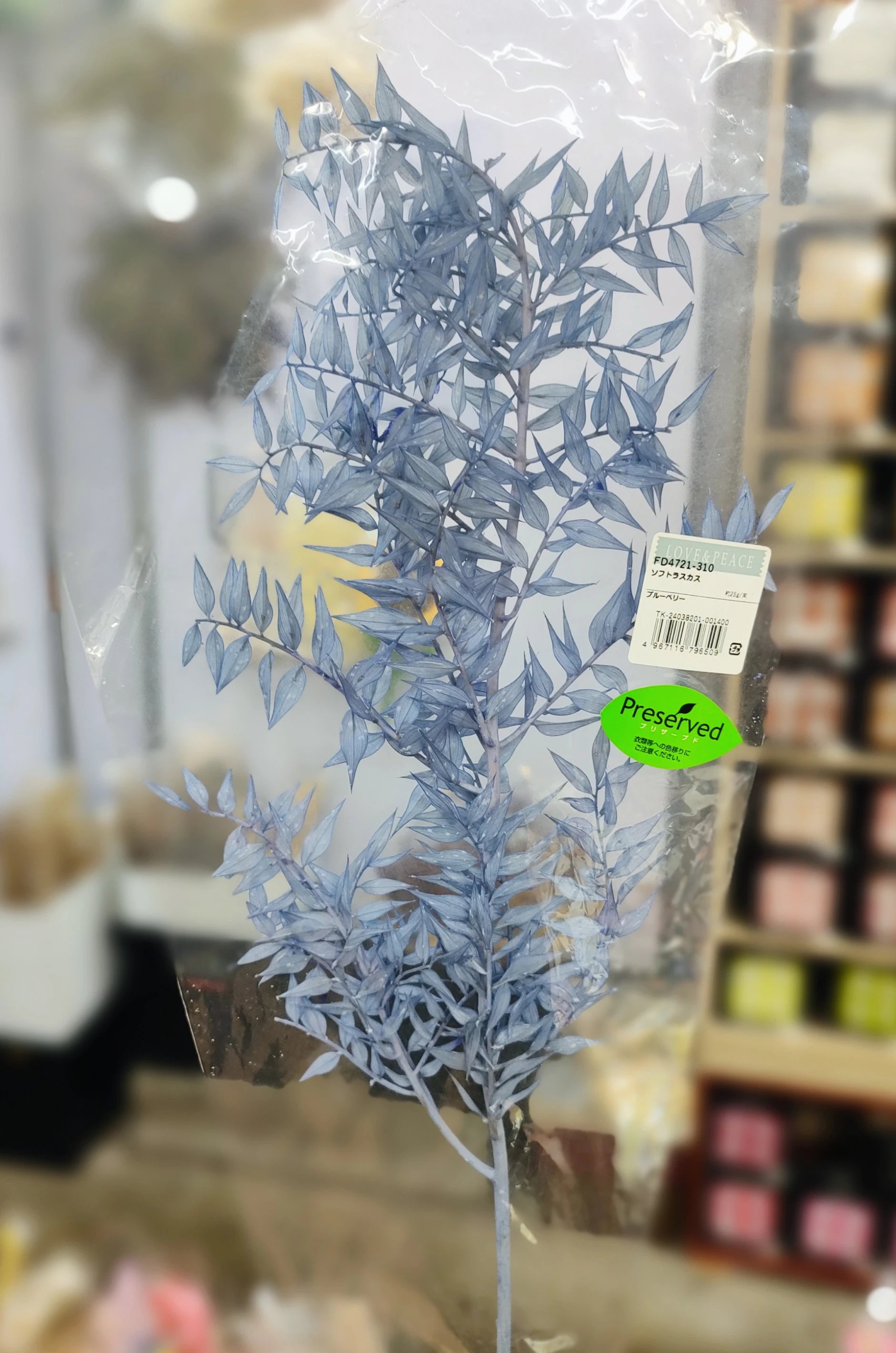日本永生小樺木 小葉假葉樹 富貴葉 靛藍
