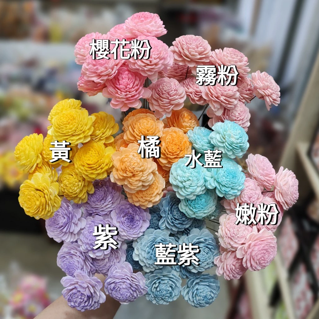索拉貝莉玫瑰小 太陽玫瑰