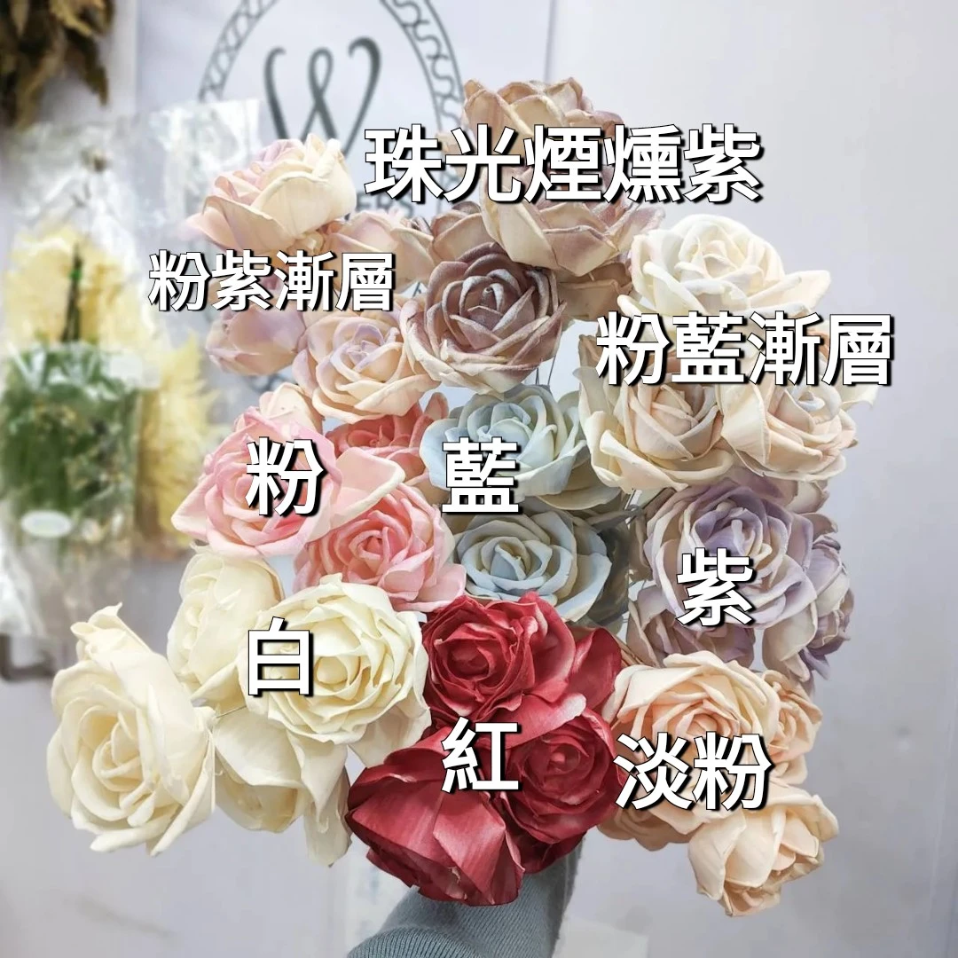 索拉佛塔玫瑰 8公分