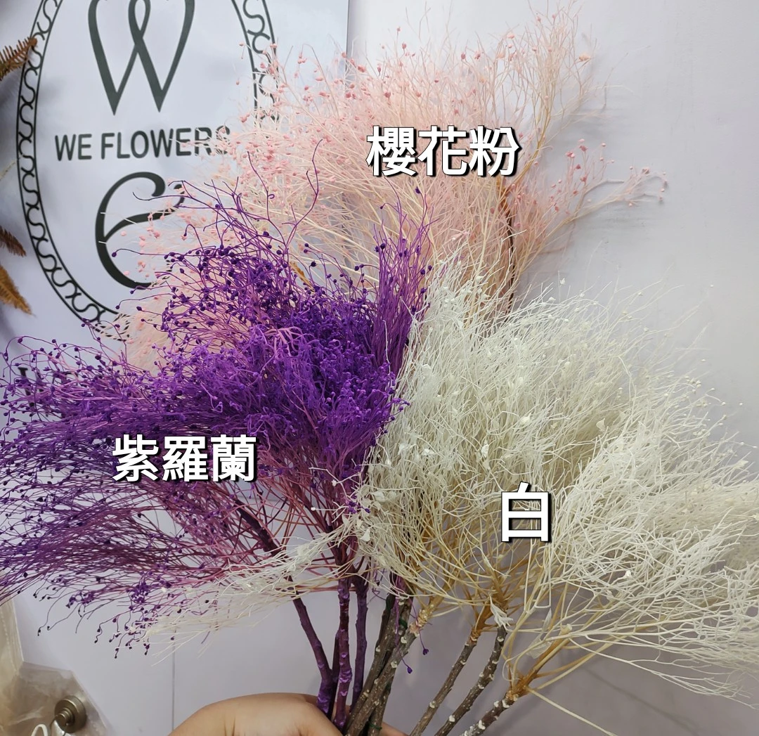 永生夢幻草