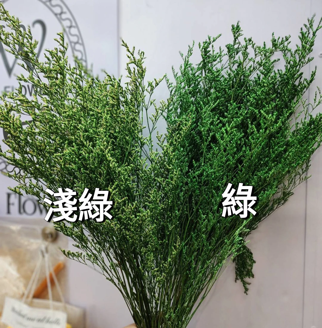 永生吸色卡斯比亞