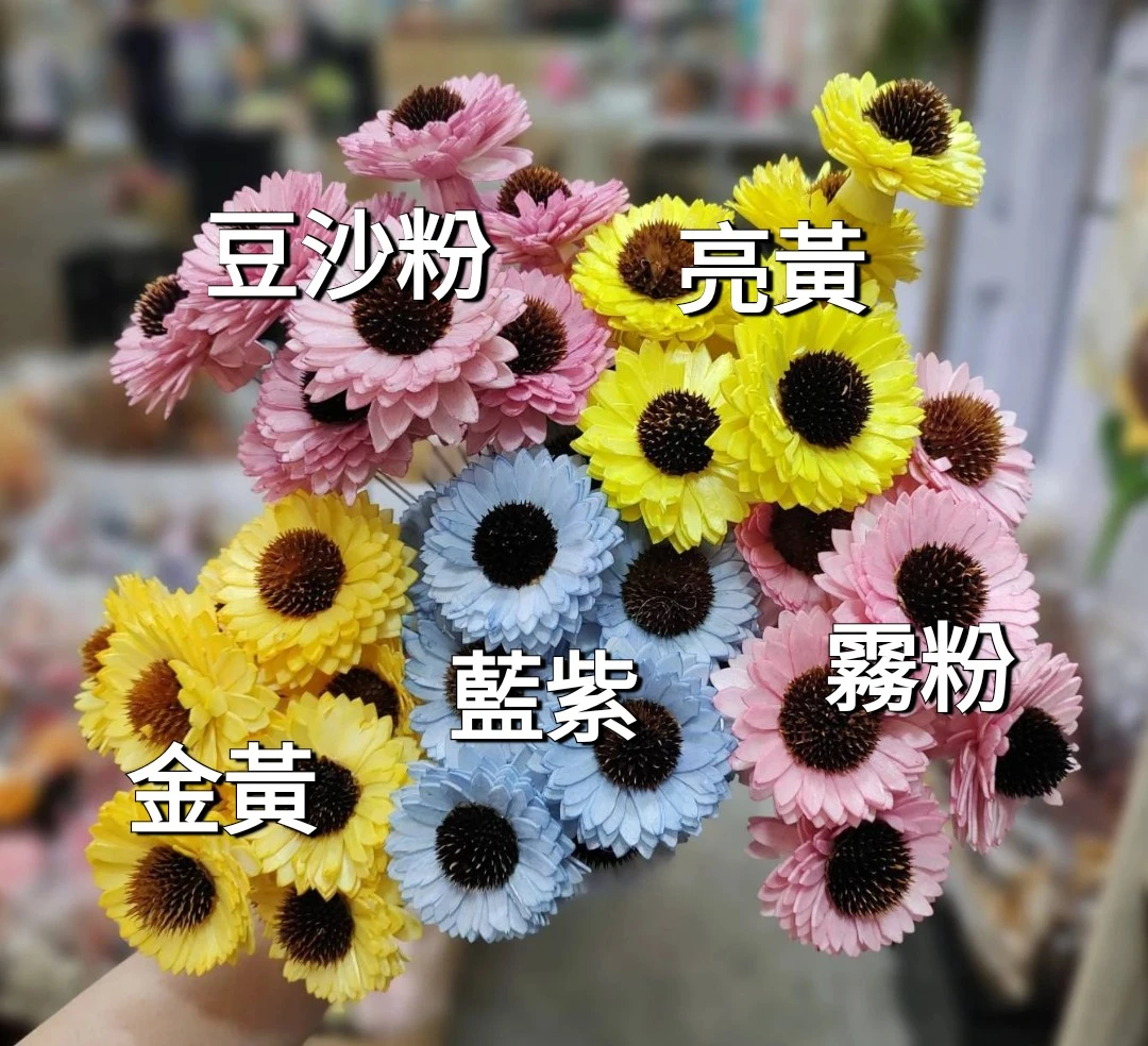 索拉向日葵 經典款（泰國）