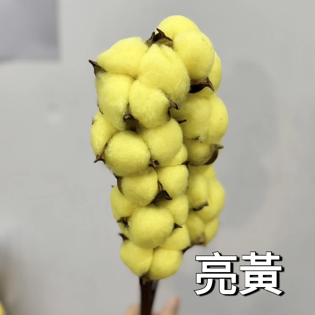 馬卡龍彩色手工棉花